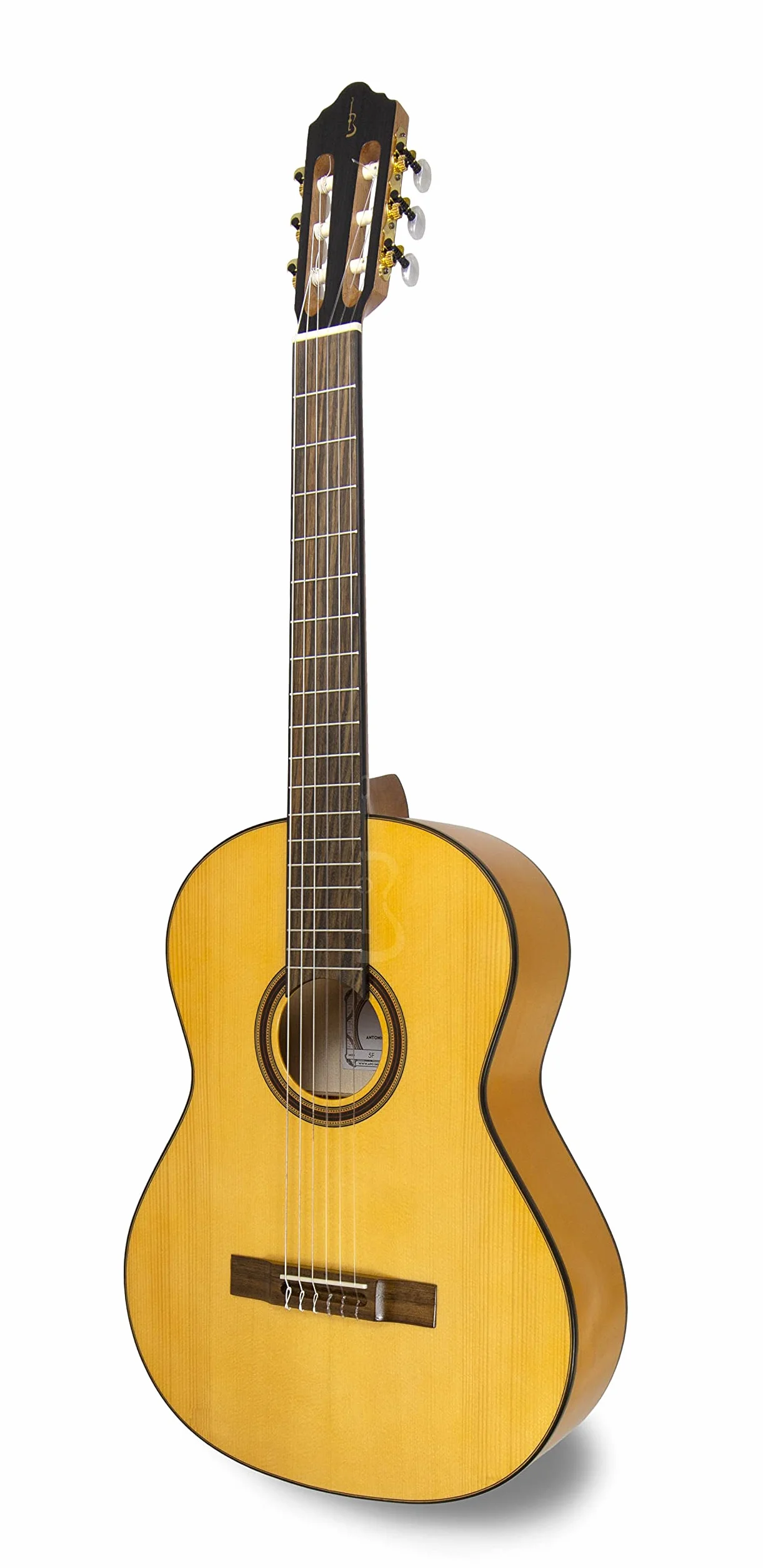 APC Instruments 5F gitara koncertowa