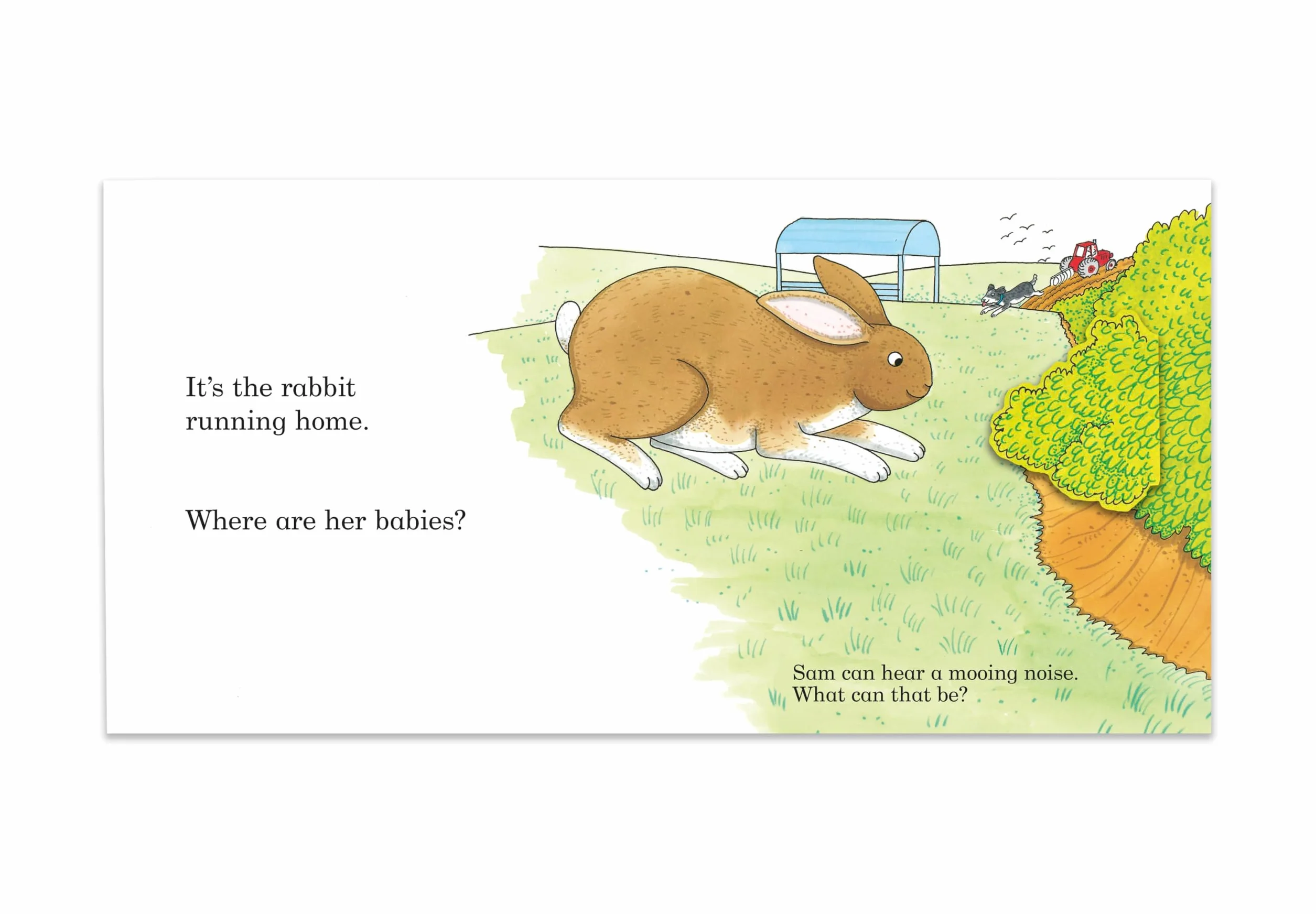 Noisy Farm: A lift-the-flap book