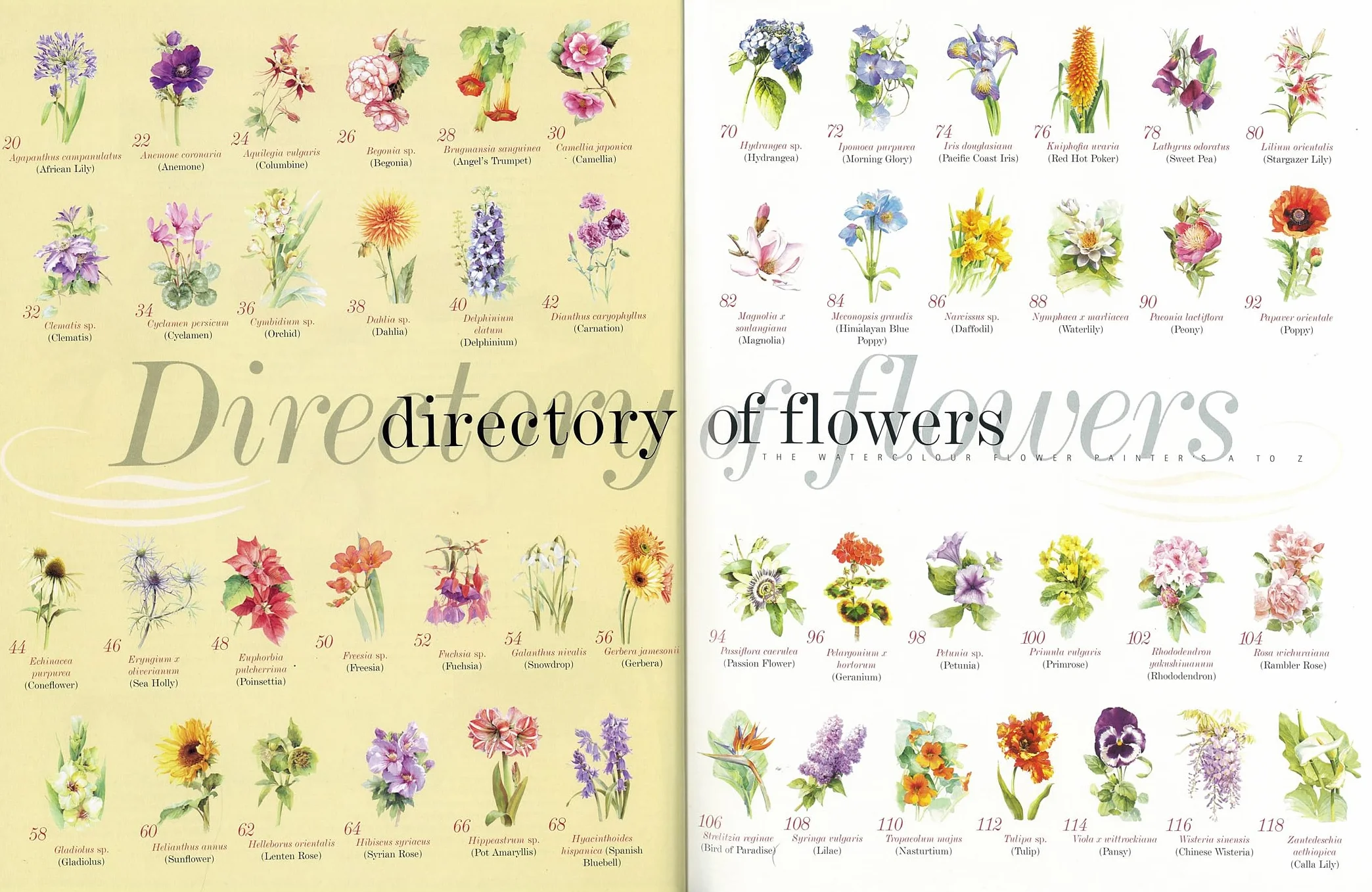 Kew: The Watercolour Flower Painter's A to Z: An Illustrated Directory of Techniques for Painting 50 Popular Flowers