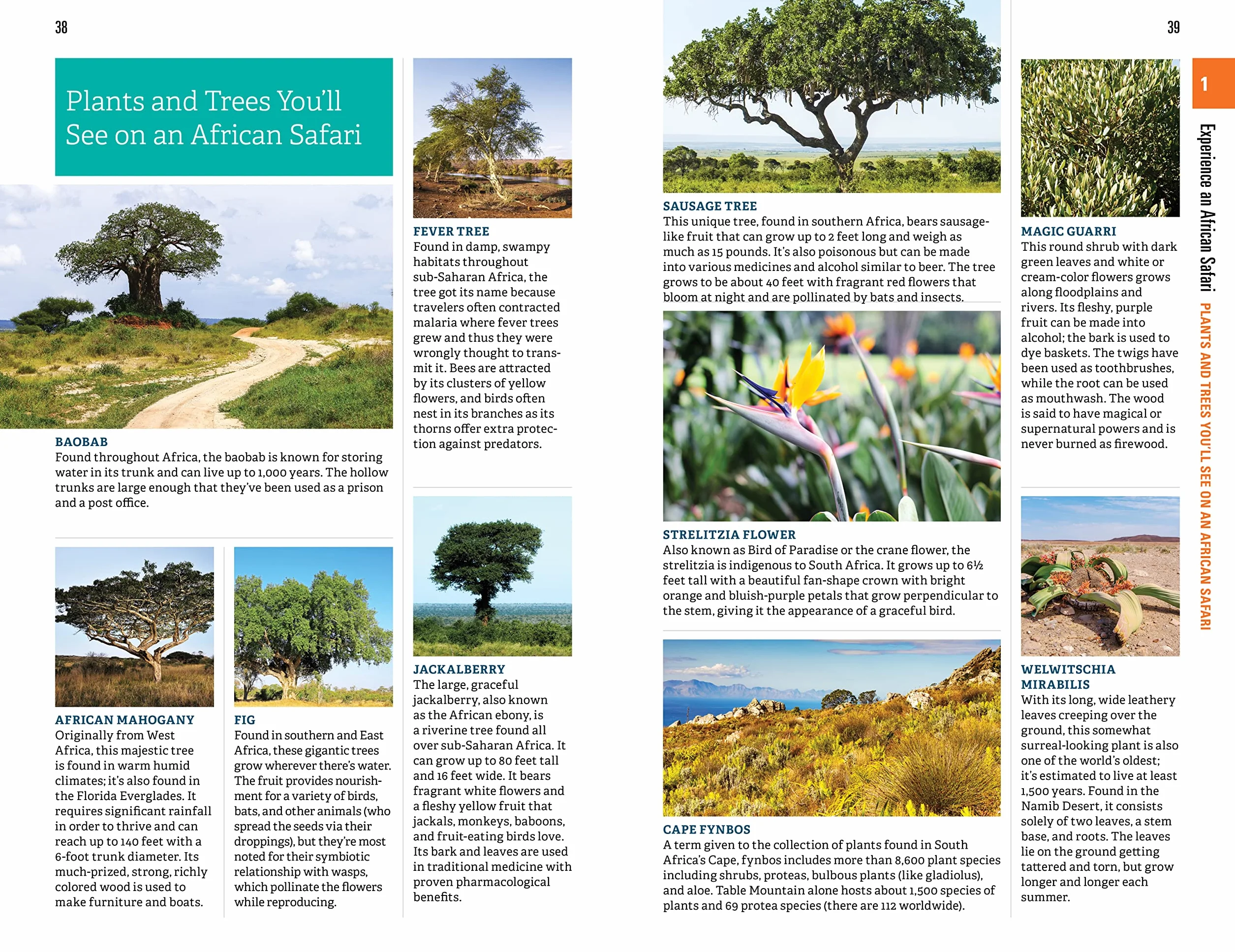 Fodor's the Complete Guide to African Safaris: With South Africa, Kenya, Tanzania, Botswana, Namibia, Rwanda, Uganda, and Victoria Falls