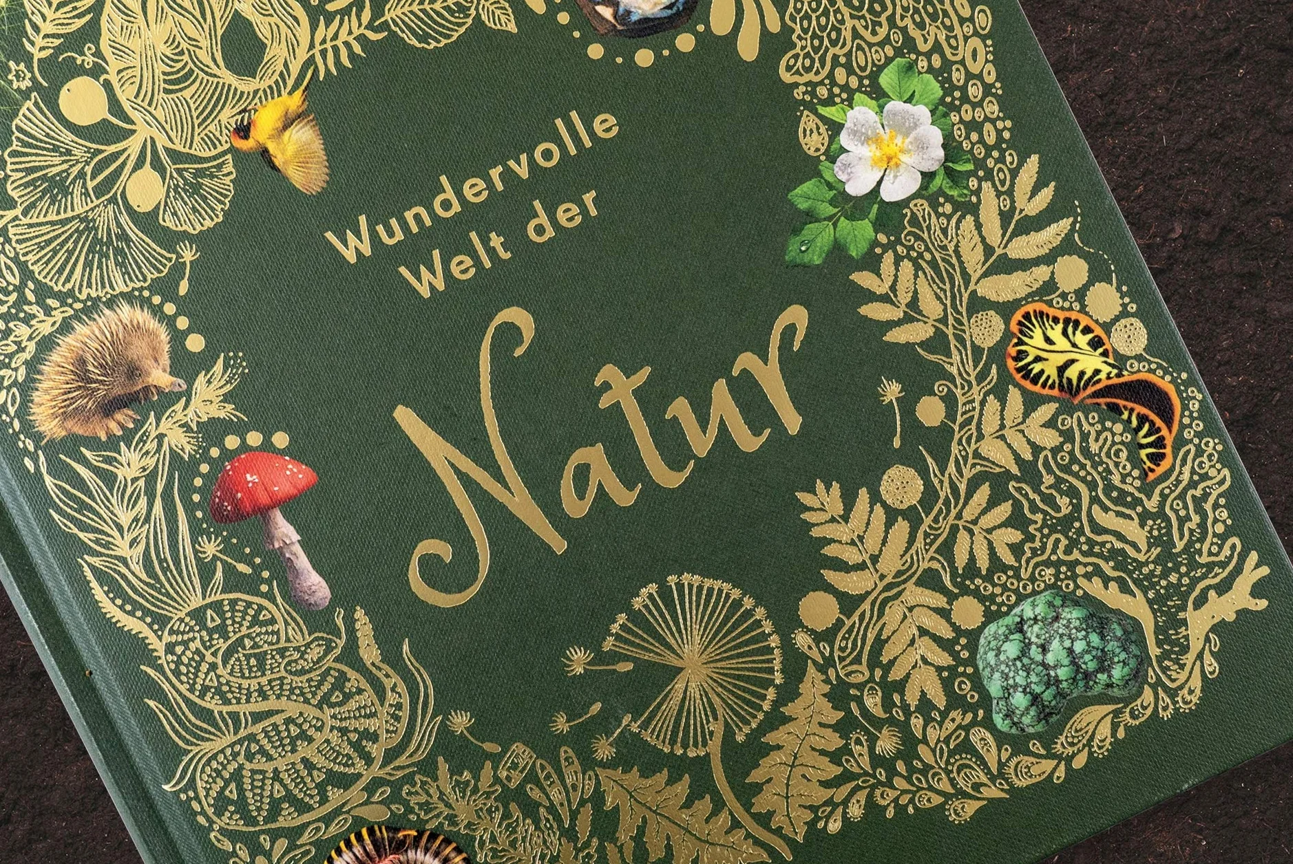 Wundervolle Welt der Natur: Ein Naturbilderbuch für die ganze Familie. Hochwertig ausgestattet mit Lesebändchen, Goldfolie und Goldschnitt