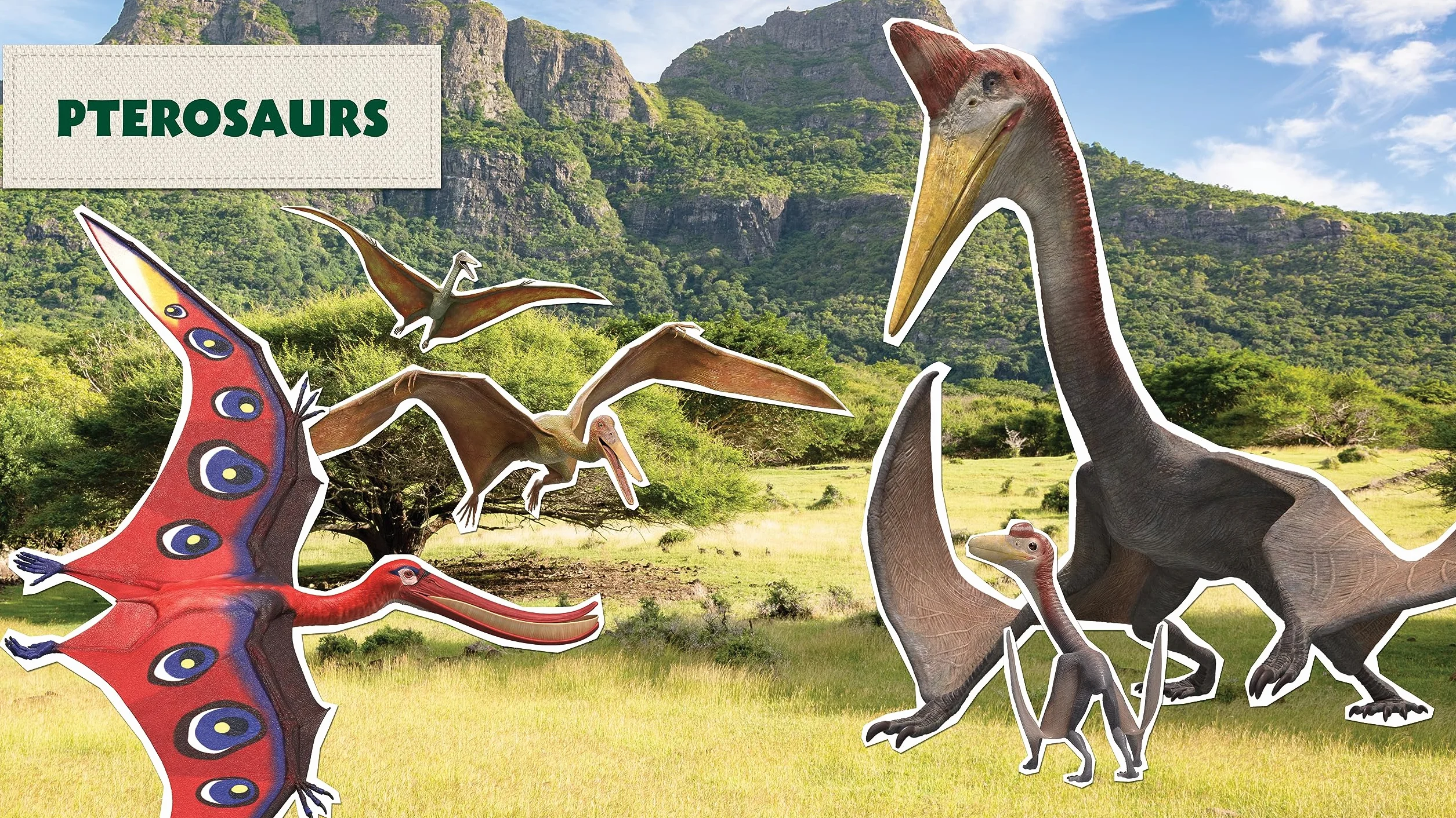 Dino Dana: Dino Field Guide: Pterosaurs and Other Prehistoric Creatures! (Dinosaurs for Kids, Science Book for Kids, Fossils, Prehistoric): 2