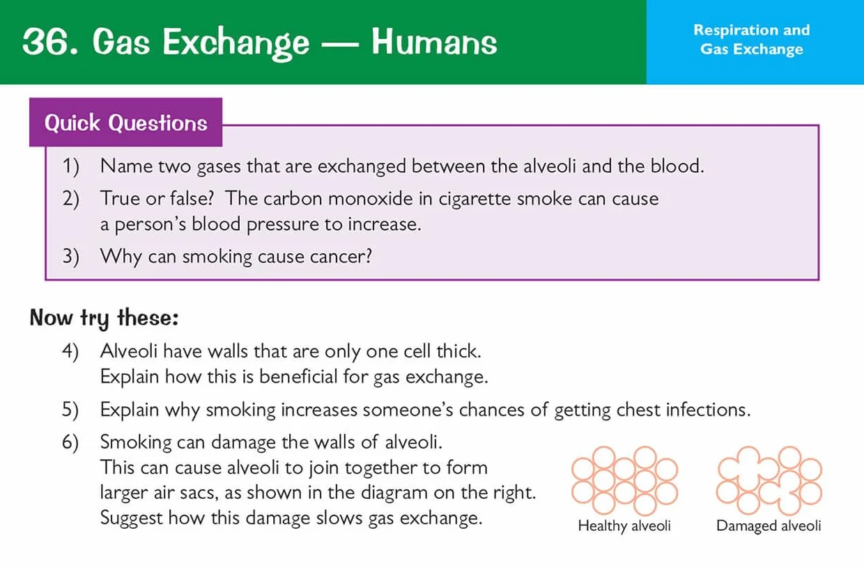 Edexcel International GCSE Biology: Revision Question Cards