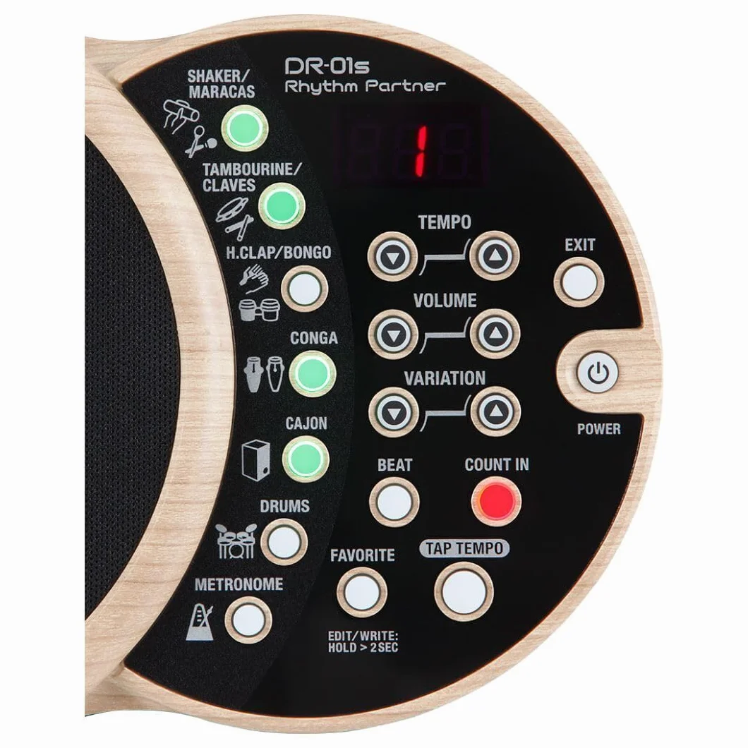 BOSS DR-01S Rhythm Partner
