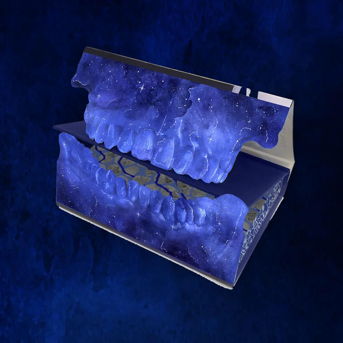 They Both Die at the End Collector's Deluxe Limited Edition: 1