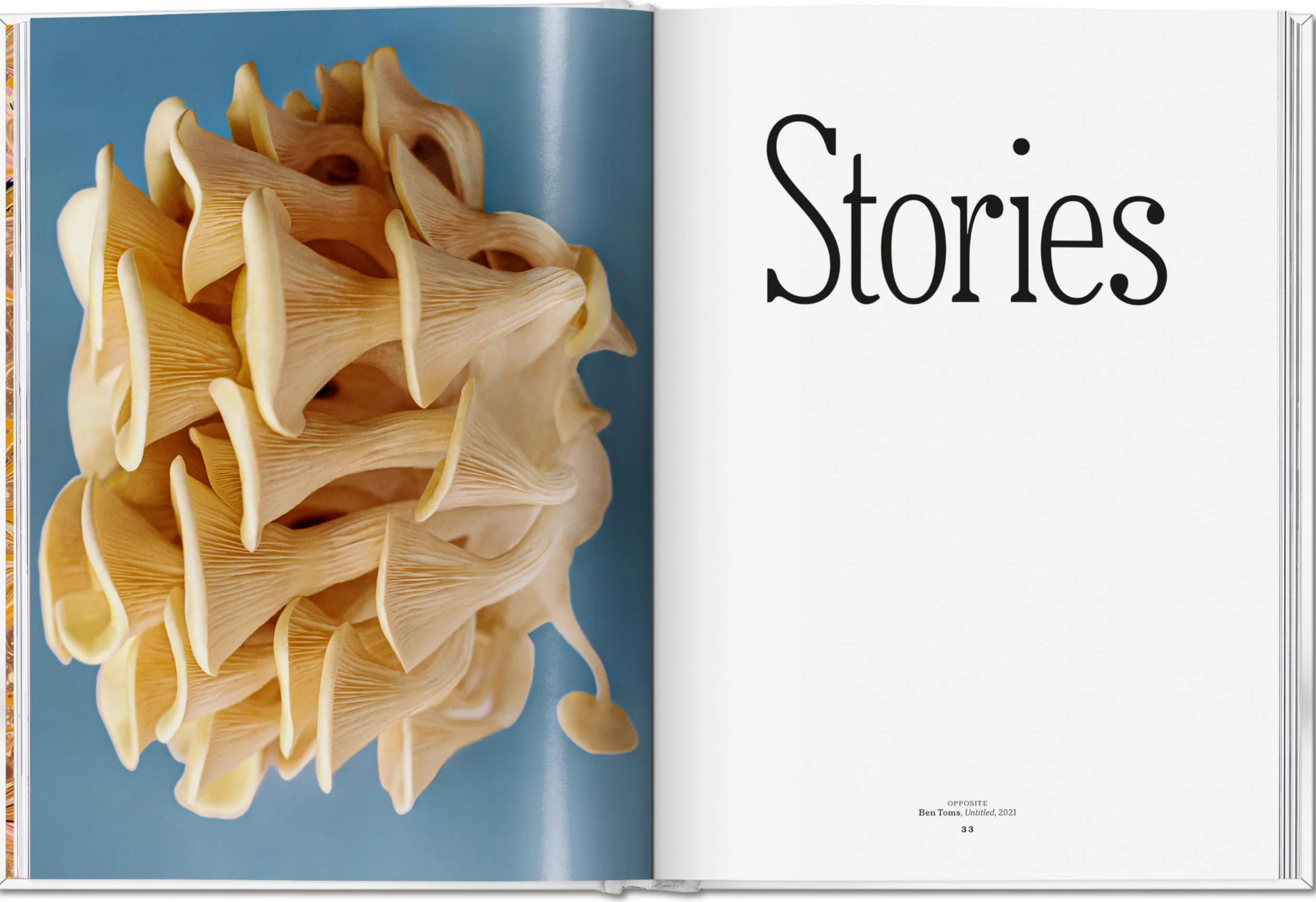 The Gourmand's Mushroom. a Collection of Stories & Recipes
