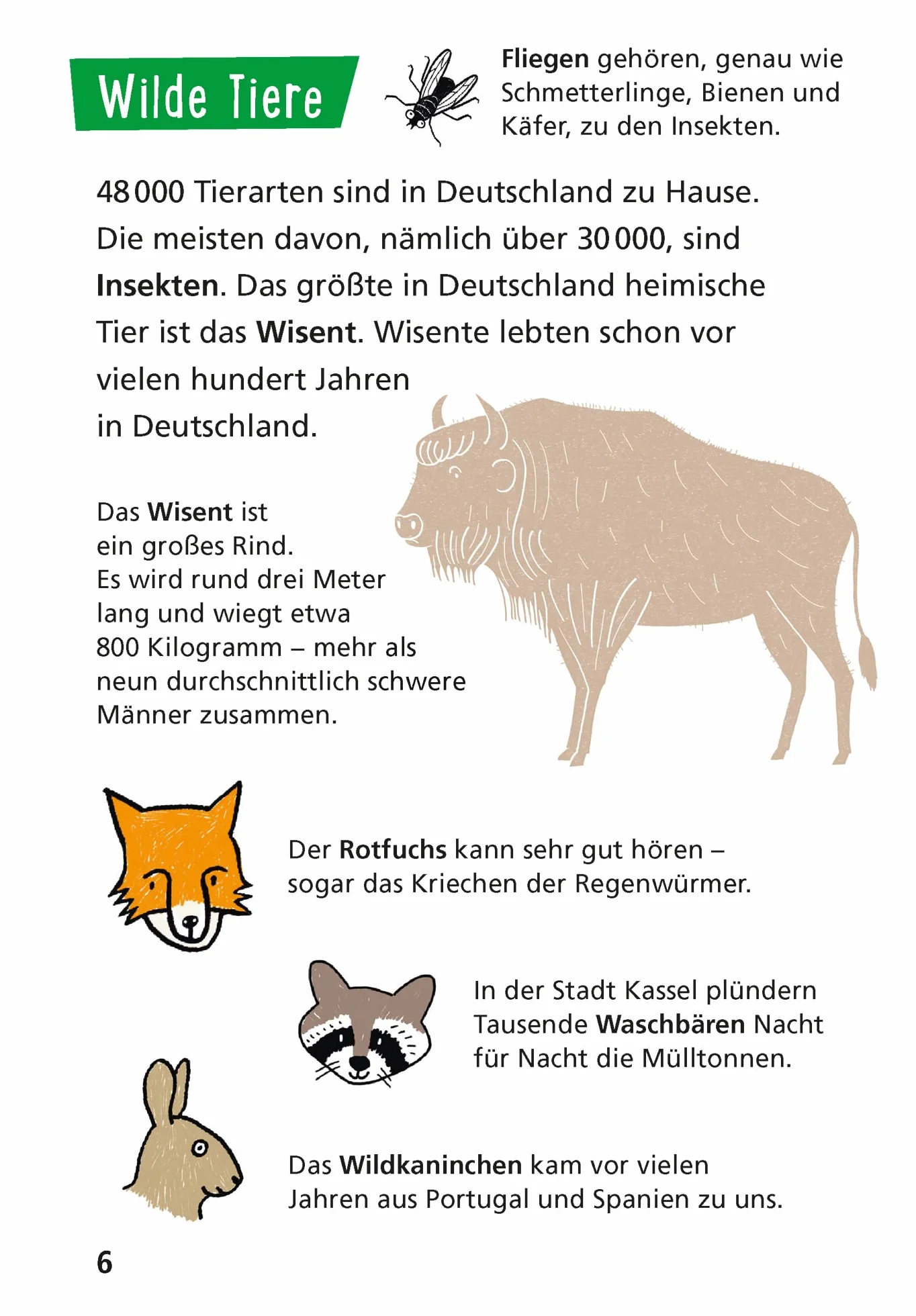 Pixi Wissen 109: Deutschland: Einfach gut erklärt!