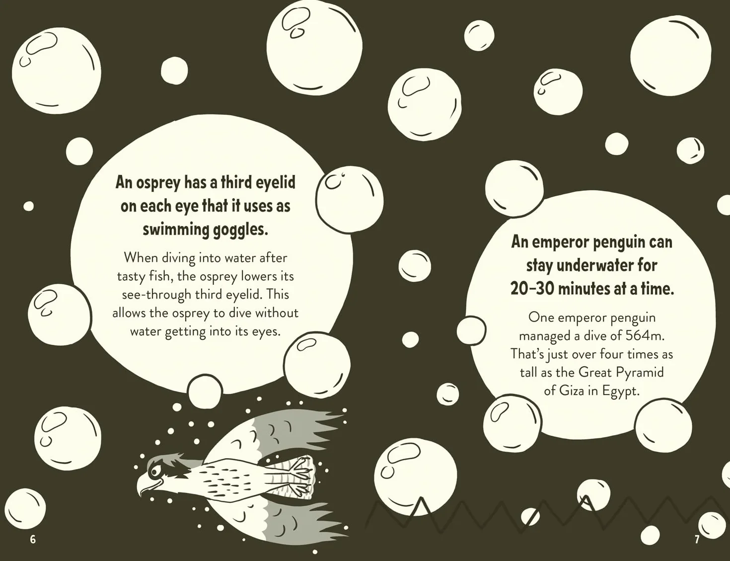Amazing Facts Every 10 Year Old Needs to Know: A hilarious illustrated book of trivia, the perfect boredom busting alternative to screen time for kids!