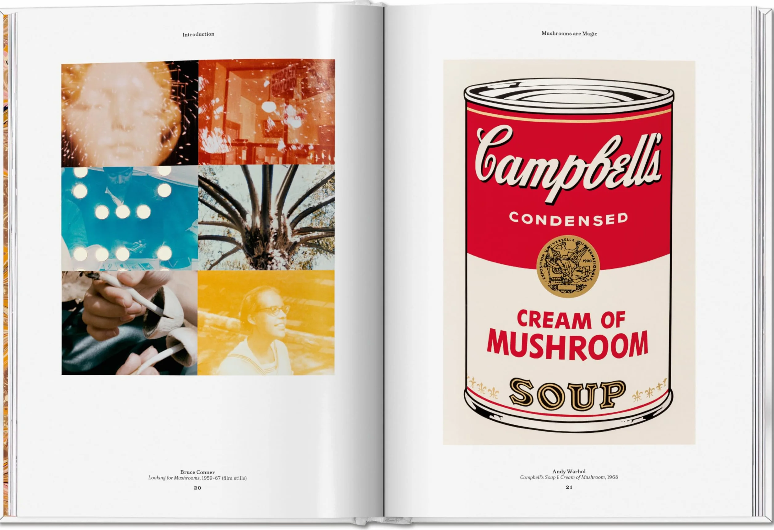 The Gourmand's Mushroom. a Collection of Stories & Recipes