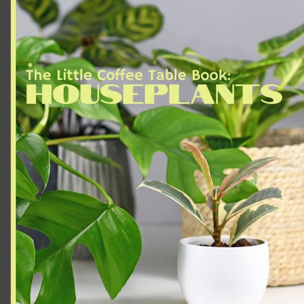 The Little Coffee Table Book: Houseplants: Your ultimate guide to bringing greenery into your home with ease and style! With 85 pages packed full of ... tricks specifically tailored for beginners!