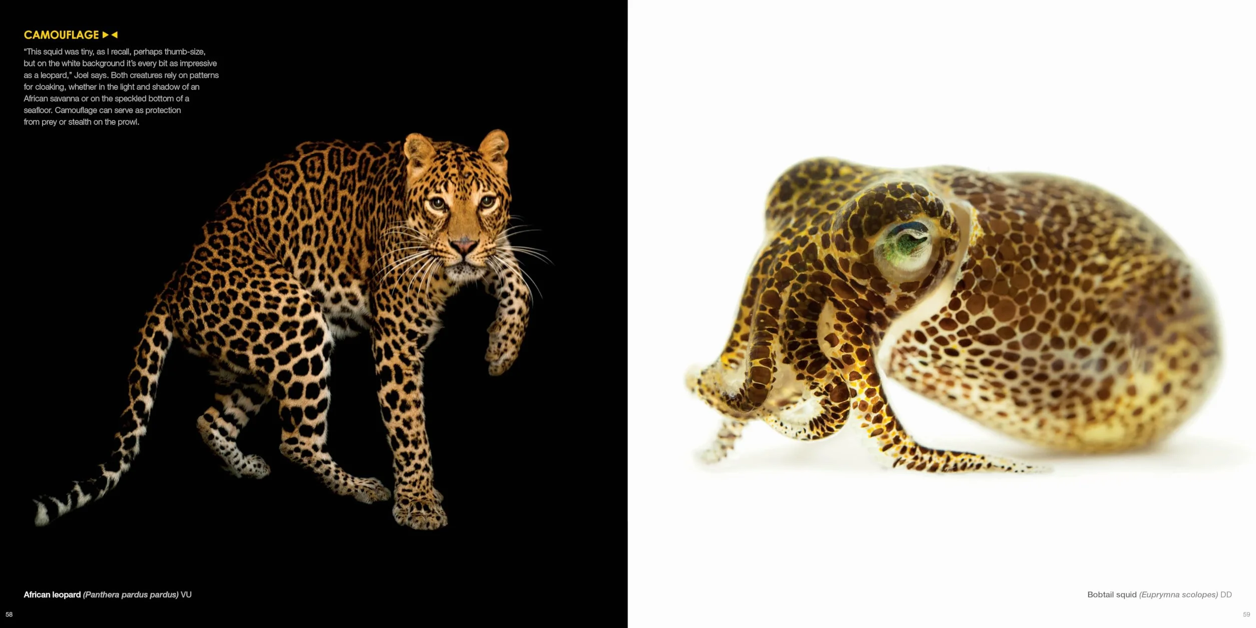National Geographic The Photo Ark: One Man's Quest to Document the World's Animals