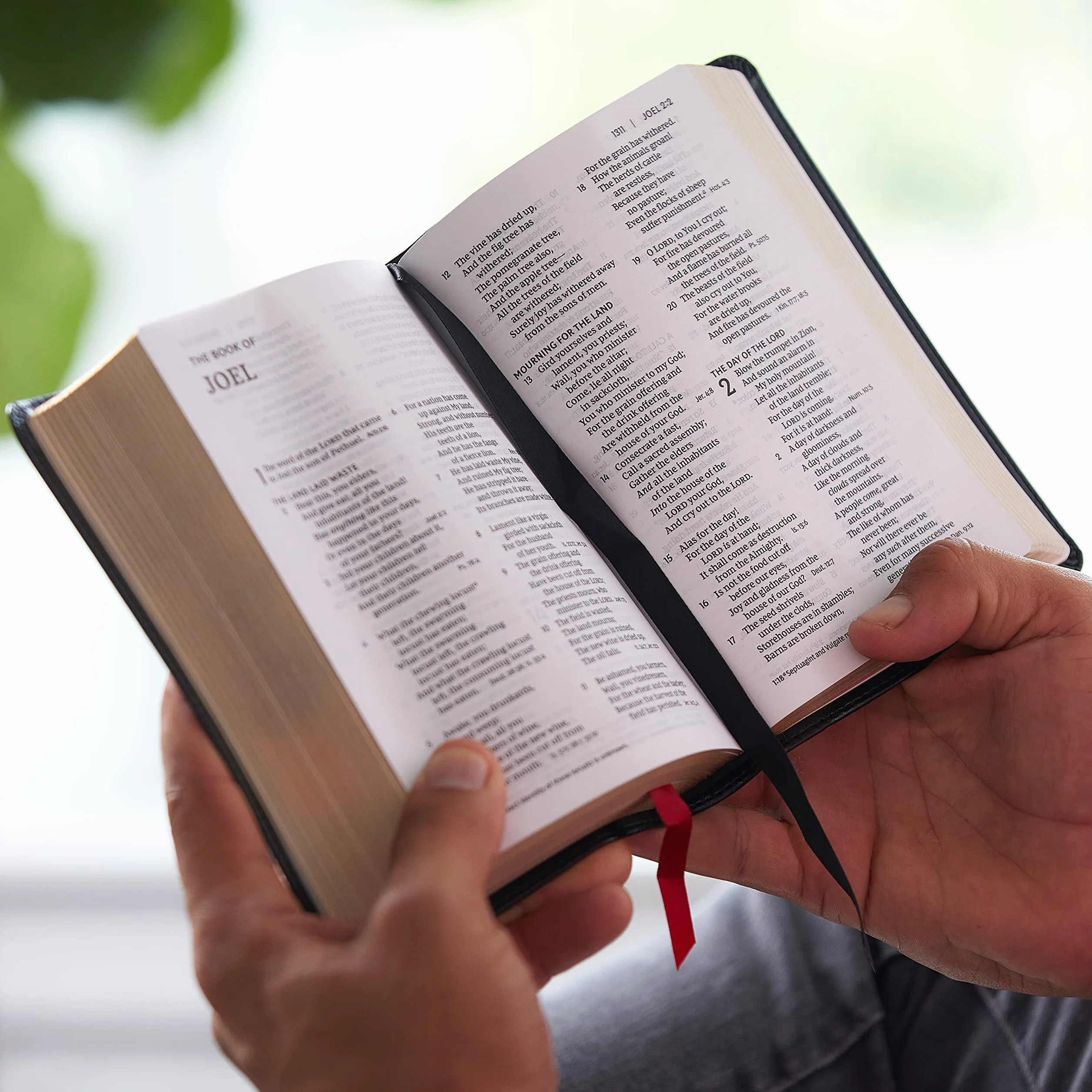 Nkjv, Reference Bible, Compact, Leathersoft, Black, Red Letter Edition, Comfort Print: Holy Bible, New King James Version