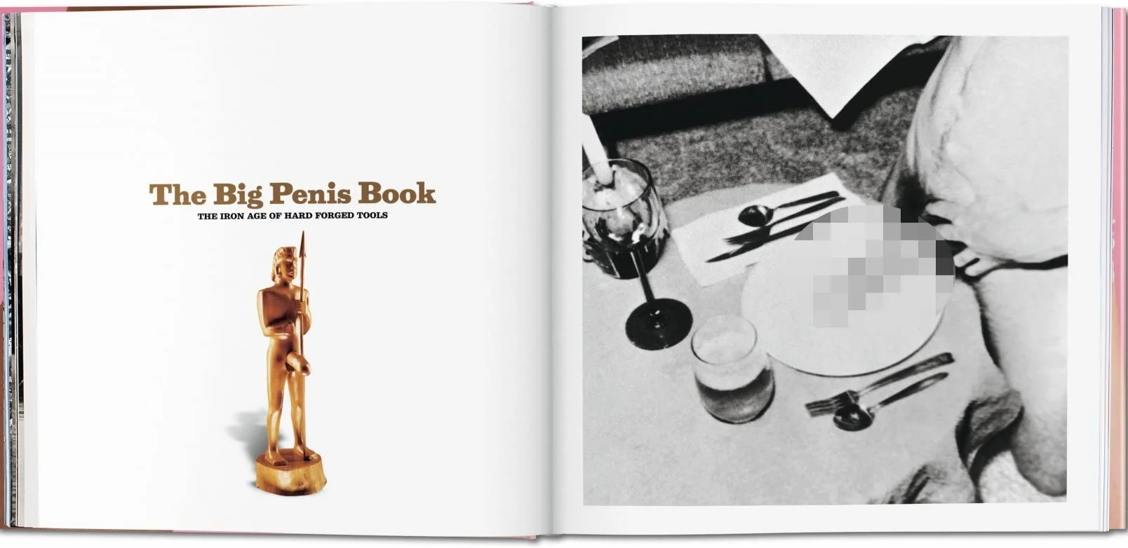 FO-THE BIG PENIS BOOK: The Fascinating Phallus