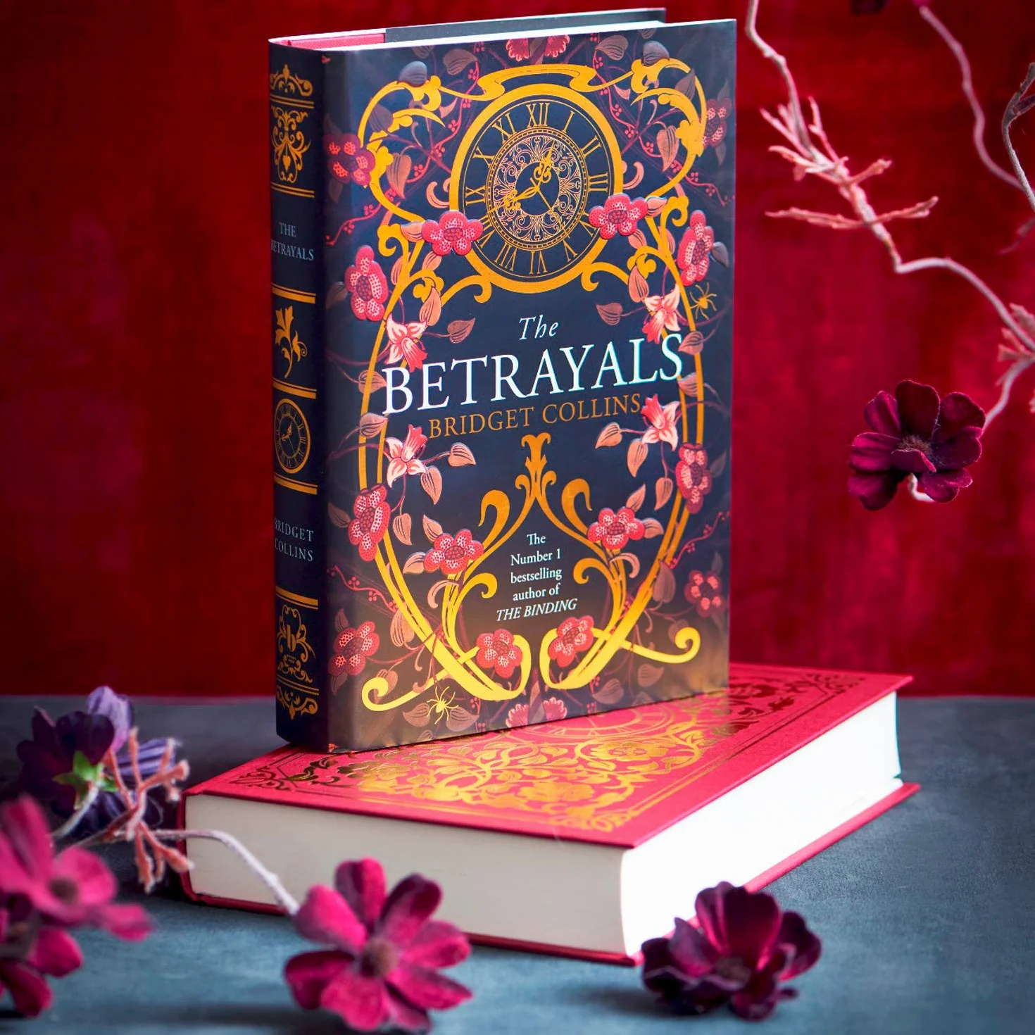 The Betrayals: Discover the stunning fiction book from the author of Sunday Times bestseller THE BINDING