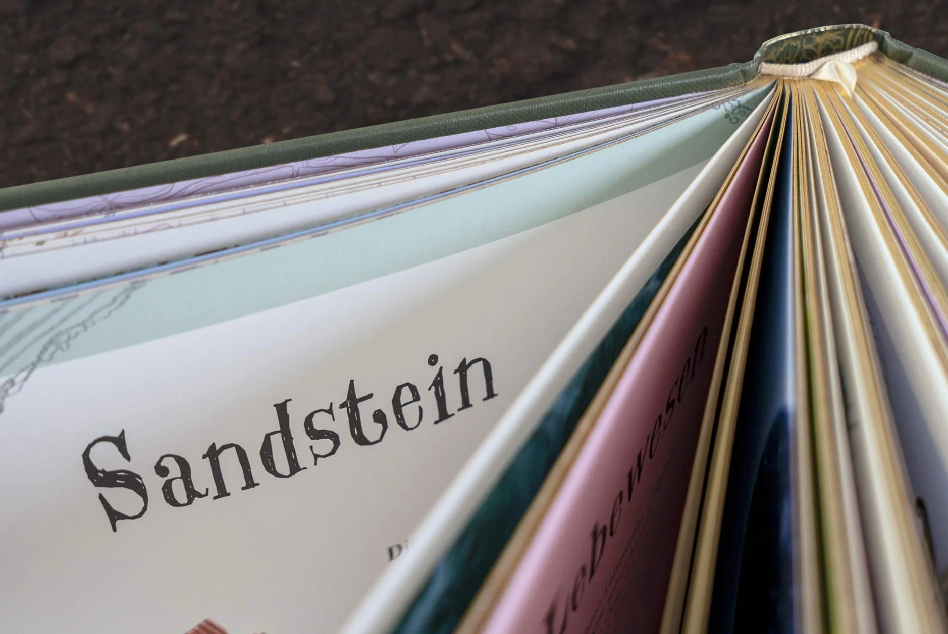 Wundervolle Welt der Natur: Ein Naturbilderbuch für die ganze Familie. Hochwertig ausgestattet mit Lesebändchen, Goldfolie und Goldschnitt
