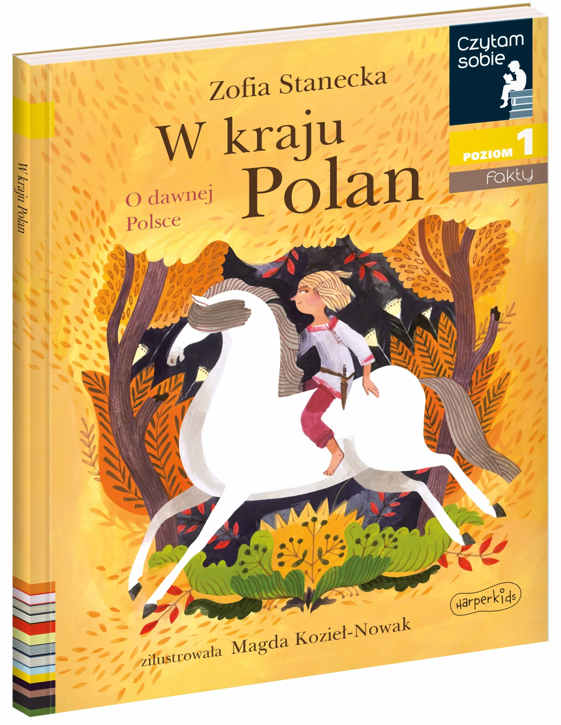 W kraju Polan. O dawnej Polsce. Czytam sobie. Poziom 1