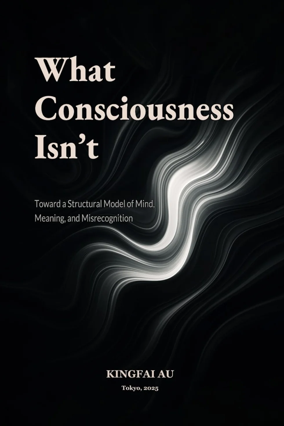 What Consciousness Isn’t: Toward a Structural Model of Mind, Meaning, and Misrecognition