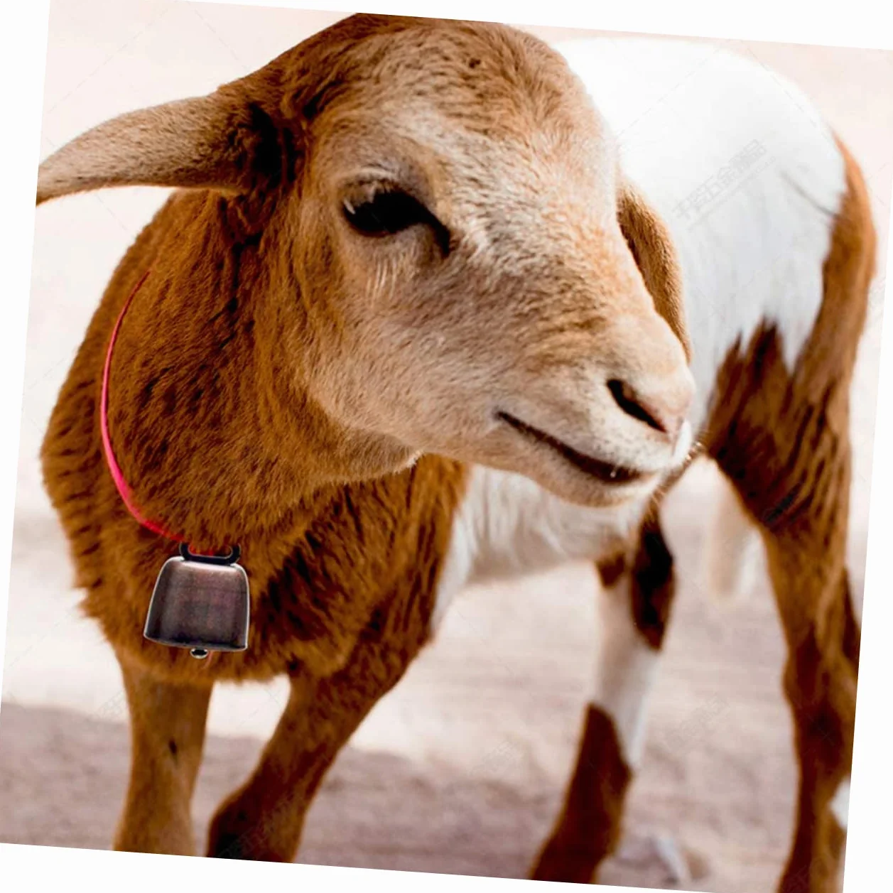 SHOWERORO Głośne Metalowe Dzwonki Dla Bydła Na Farmę 8 Sztuk Zestaw Dzwonków Retro - Theft Sheep Horse Bell Vintage Bells Sound
