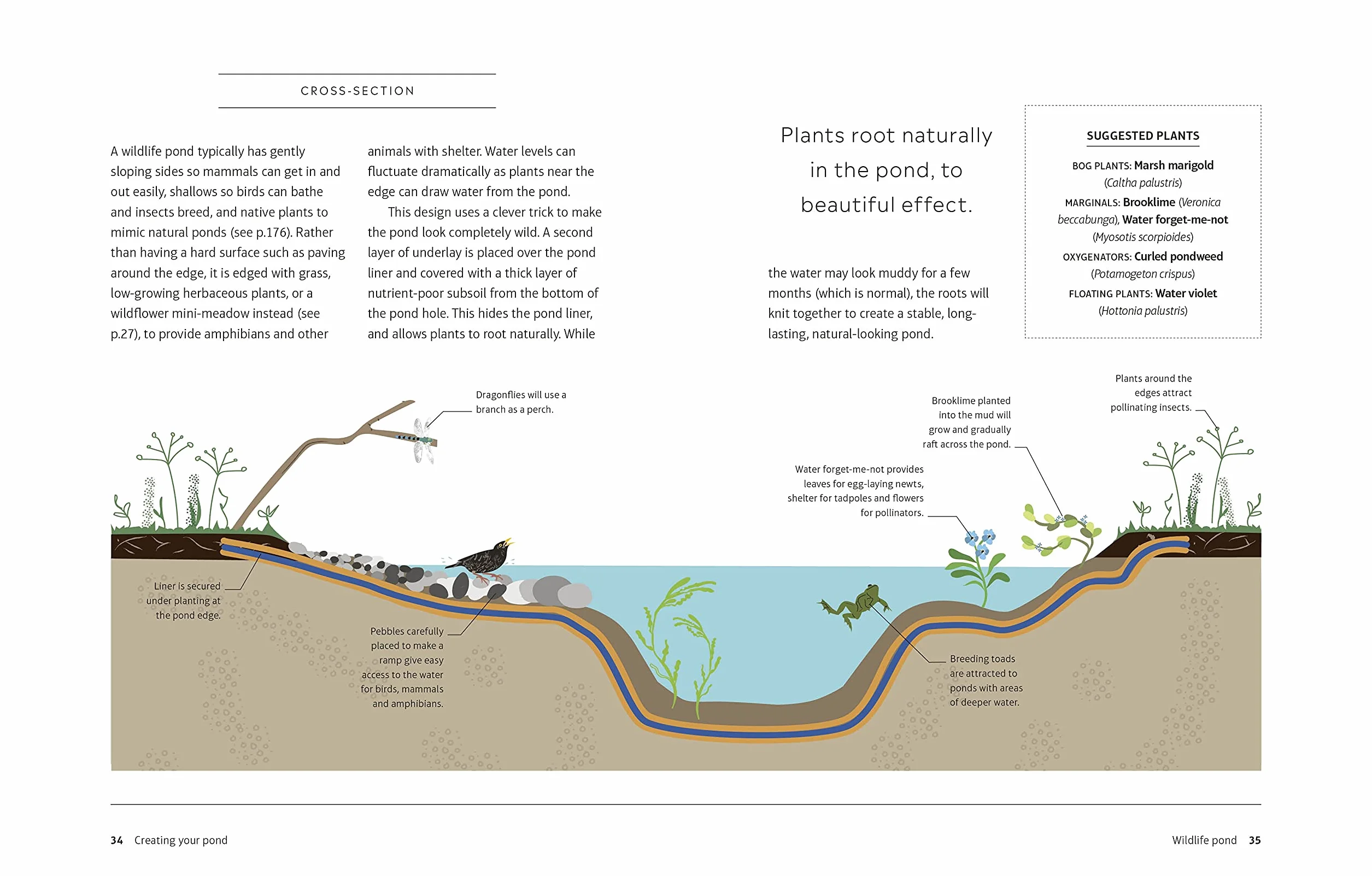 RHS How to Create a Wildlife Pond: Plan, Dig, and Enjoy a Natural Pond in Your Own Back Garden