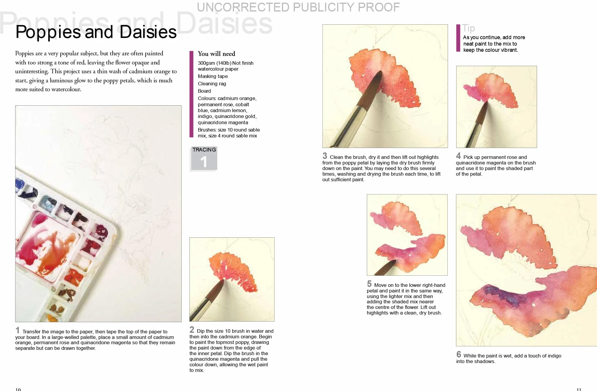 Ready to Paint Watercolour Flowers