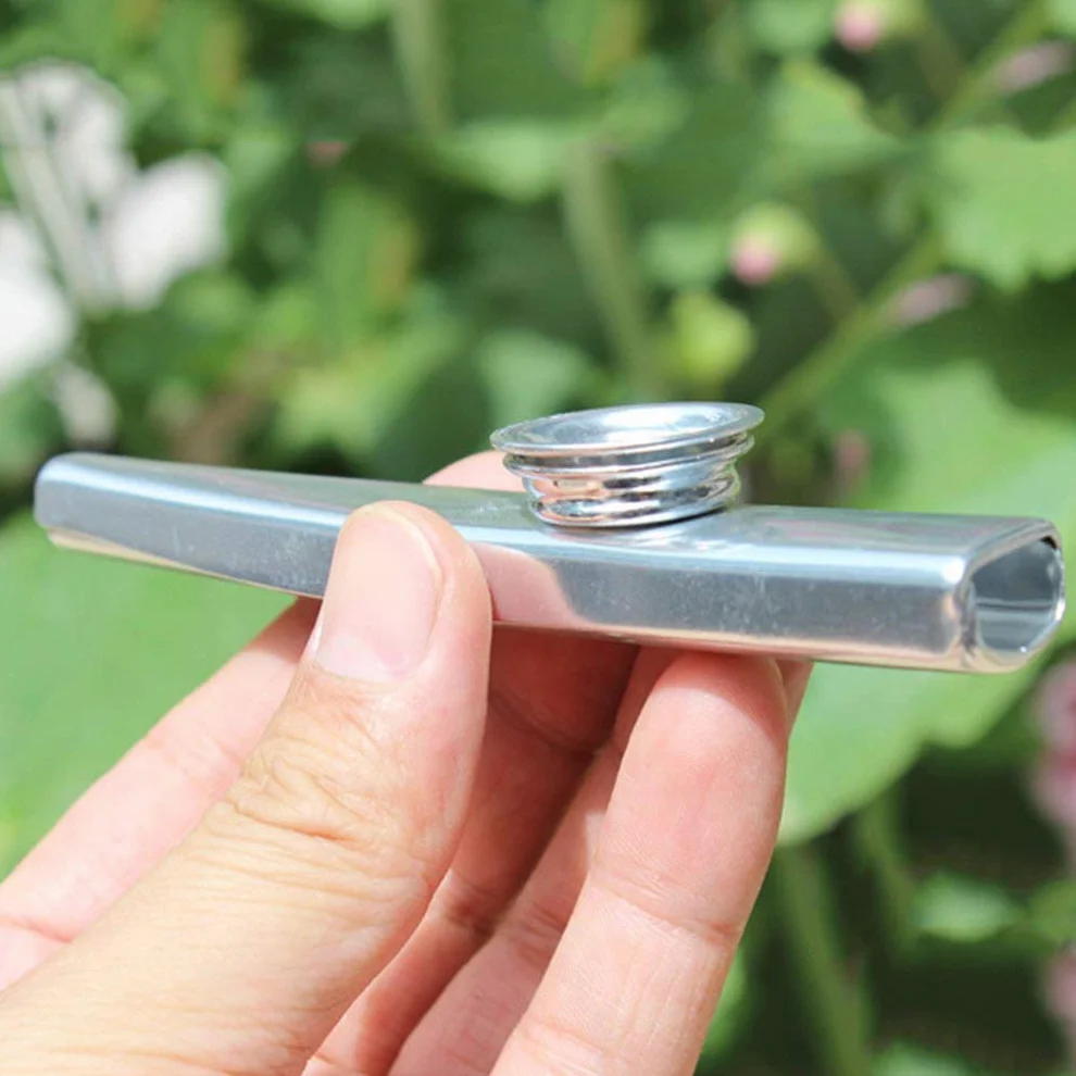 Alnicov kazoo metalowy, stop aluminium z 5 gwizdkami i ładnym pudełkiem na instrumenty muzyczne, ukulele, dla partnera gitary (srebrny)