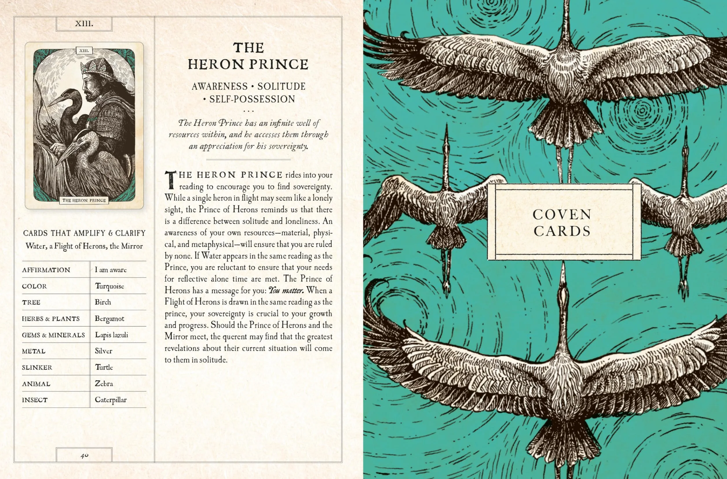 The Black Bird Oracle Deck: A 52-Card Deck and Guidebook