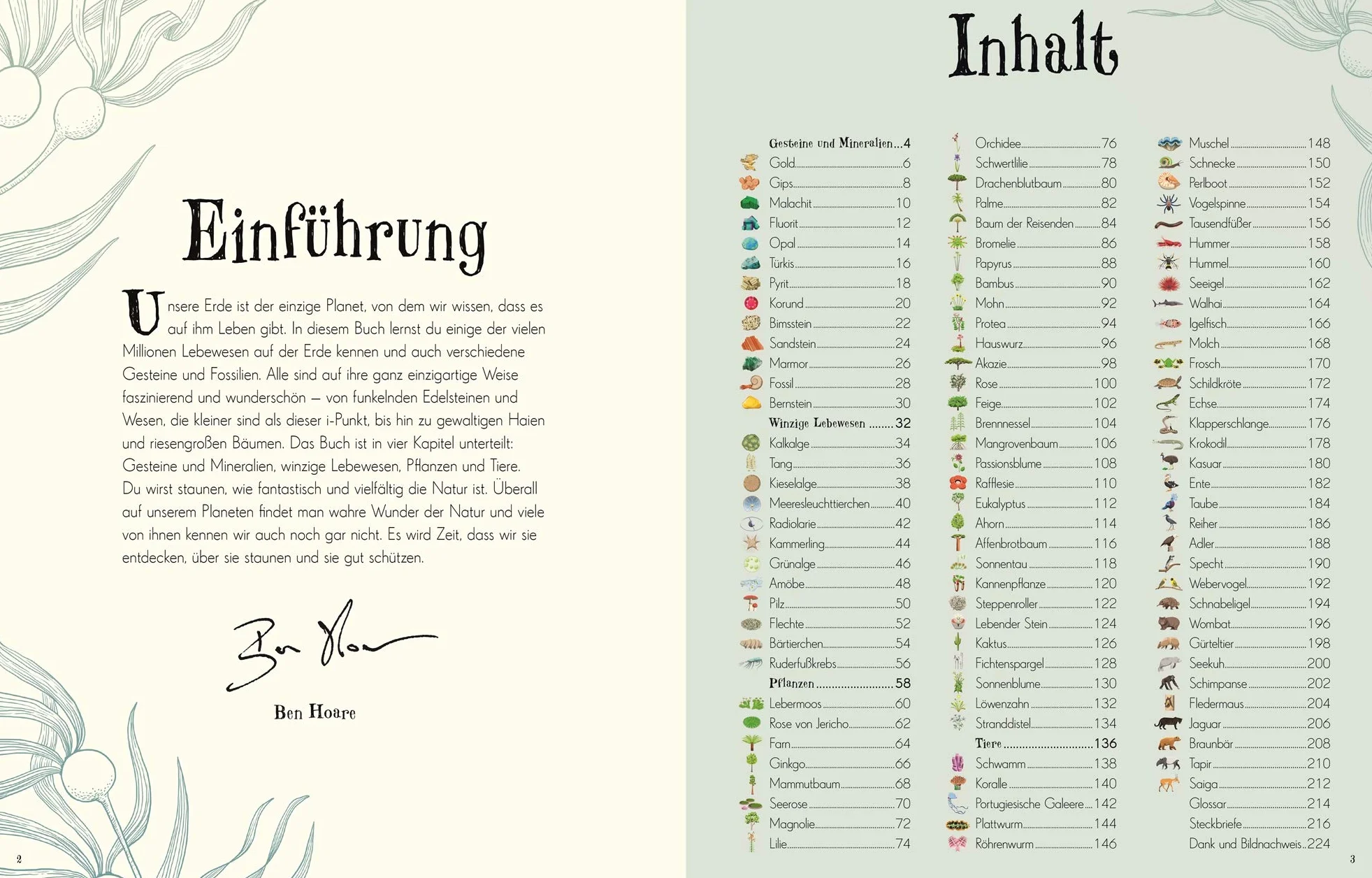 Wundervolle Welt der Natur: Ein Naturbilderbuch für die ganze Familie. Hochwertig ausgestattet mit Lesebändchen, Goldfolie und Goldschnitt