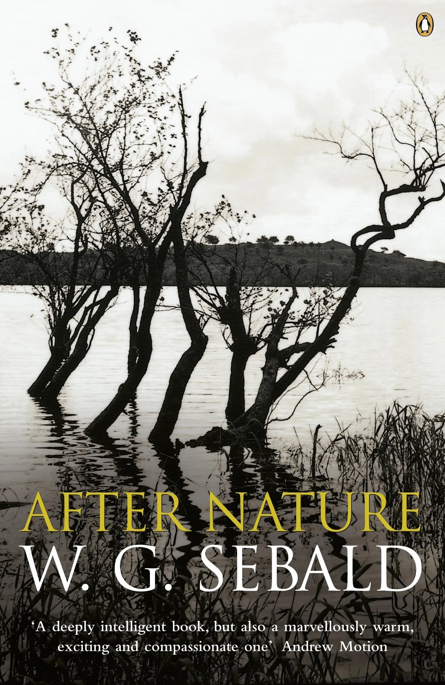 After Nature: by W.G. Sebald