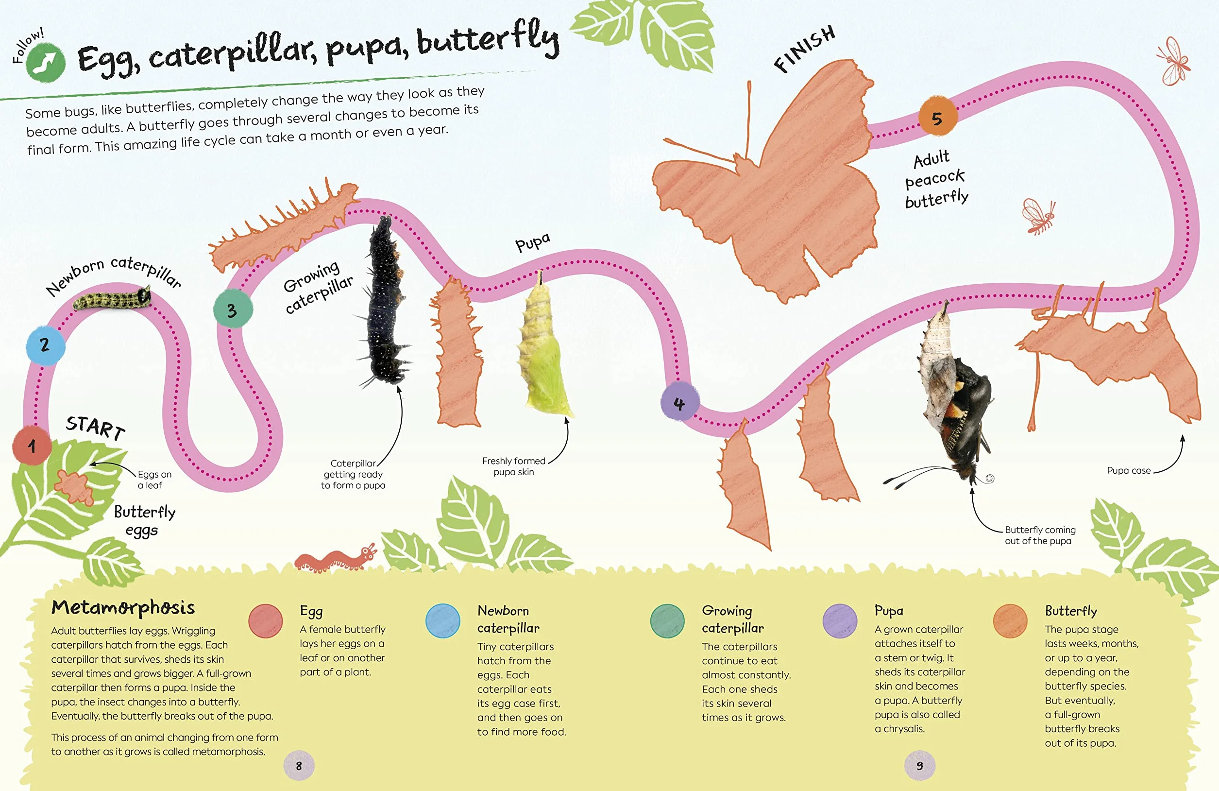 RHS Ultimate Sticker Book Garden Bugs: New Edition with More than 250 Stickers