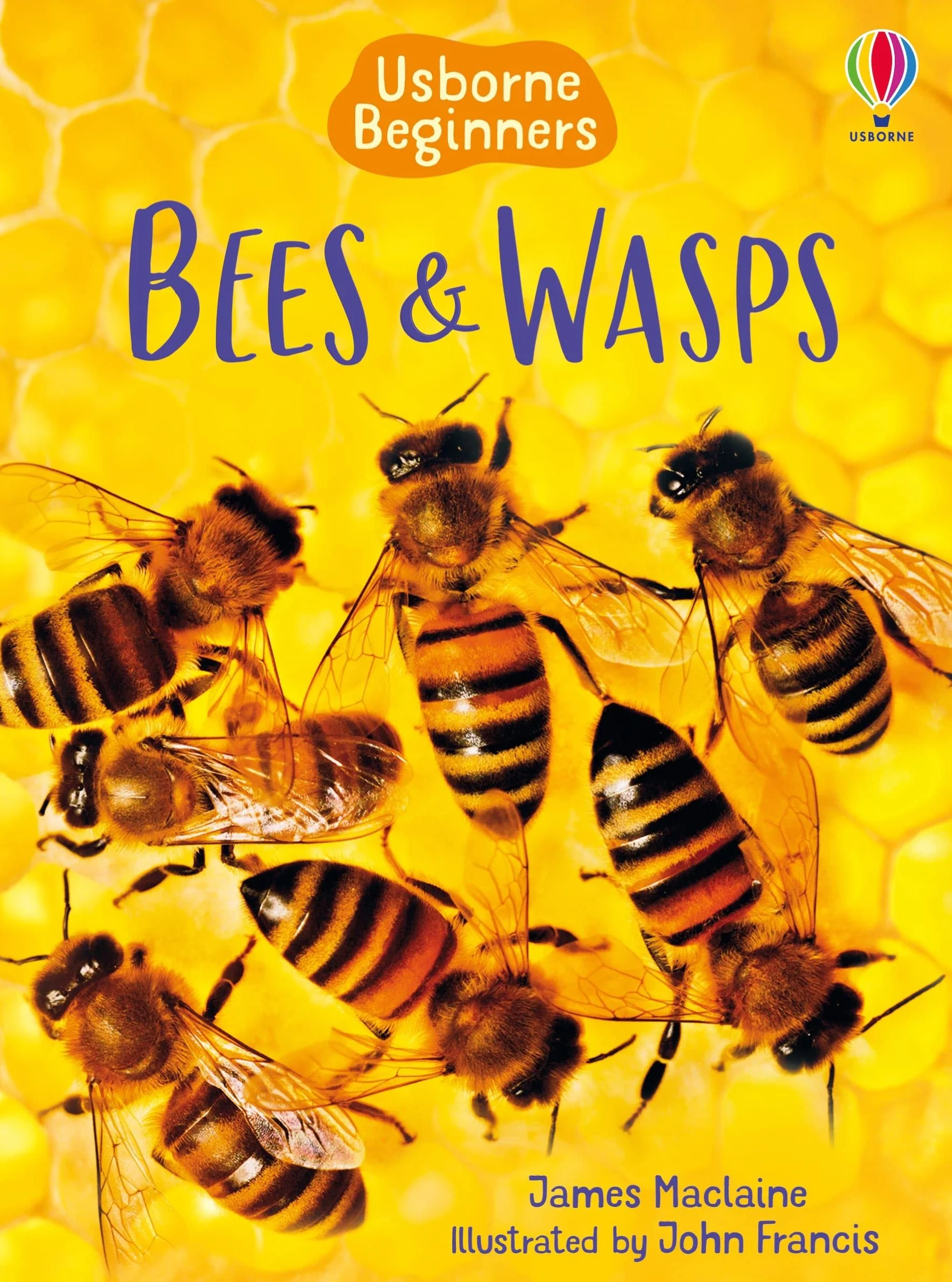 Bees and Wasps (Beginners)