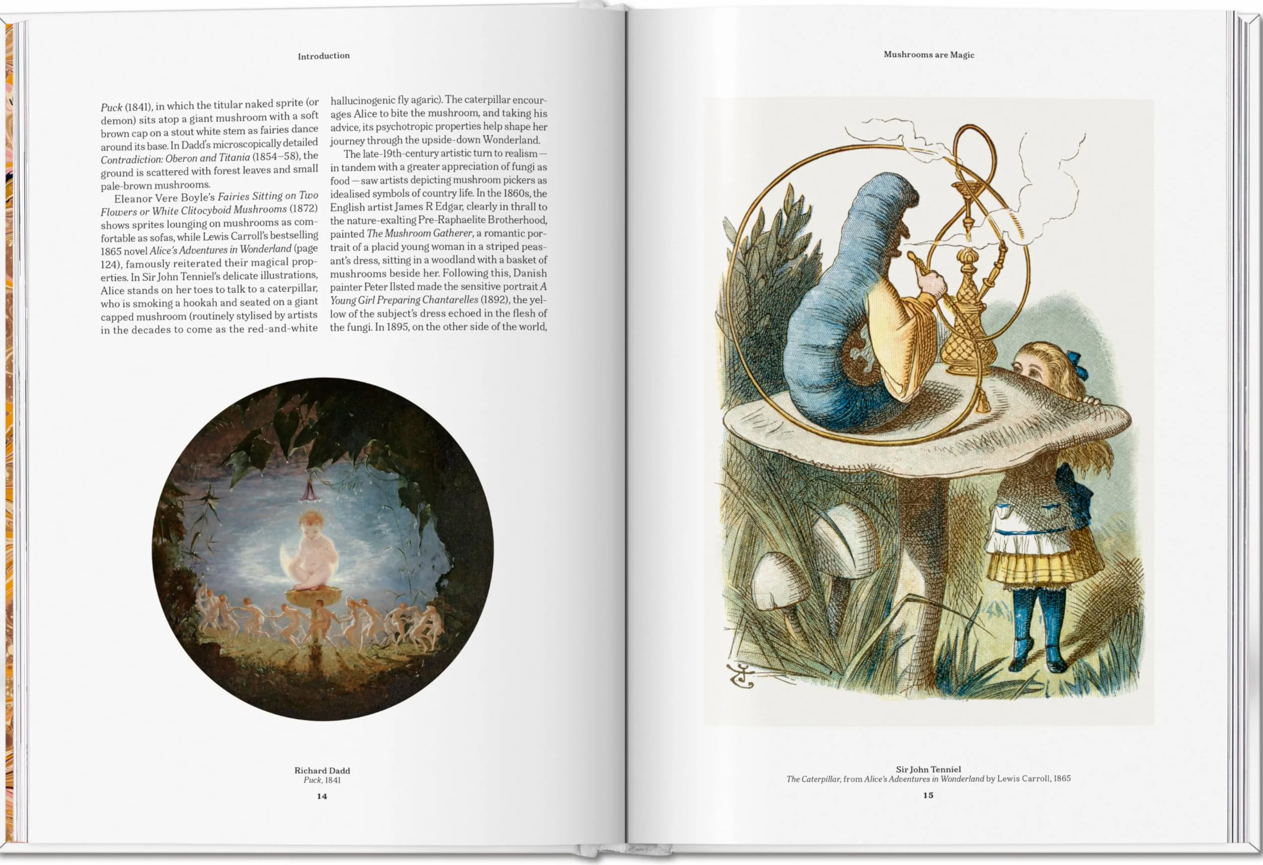 The Gourmand's Mushroom. a Collection of Stories & Recipes