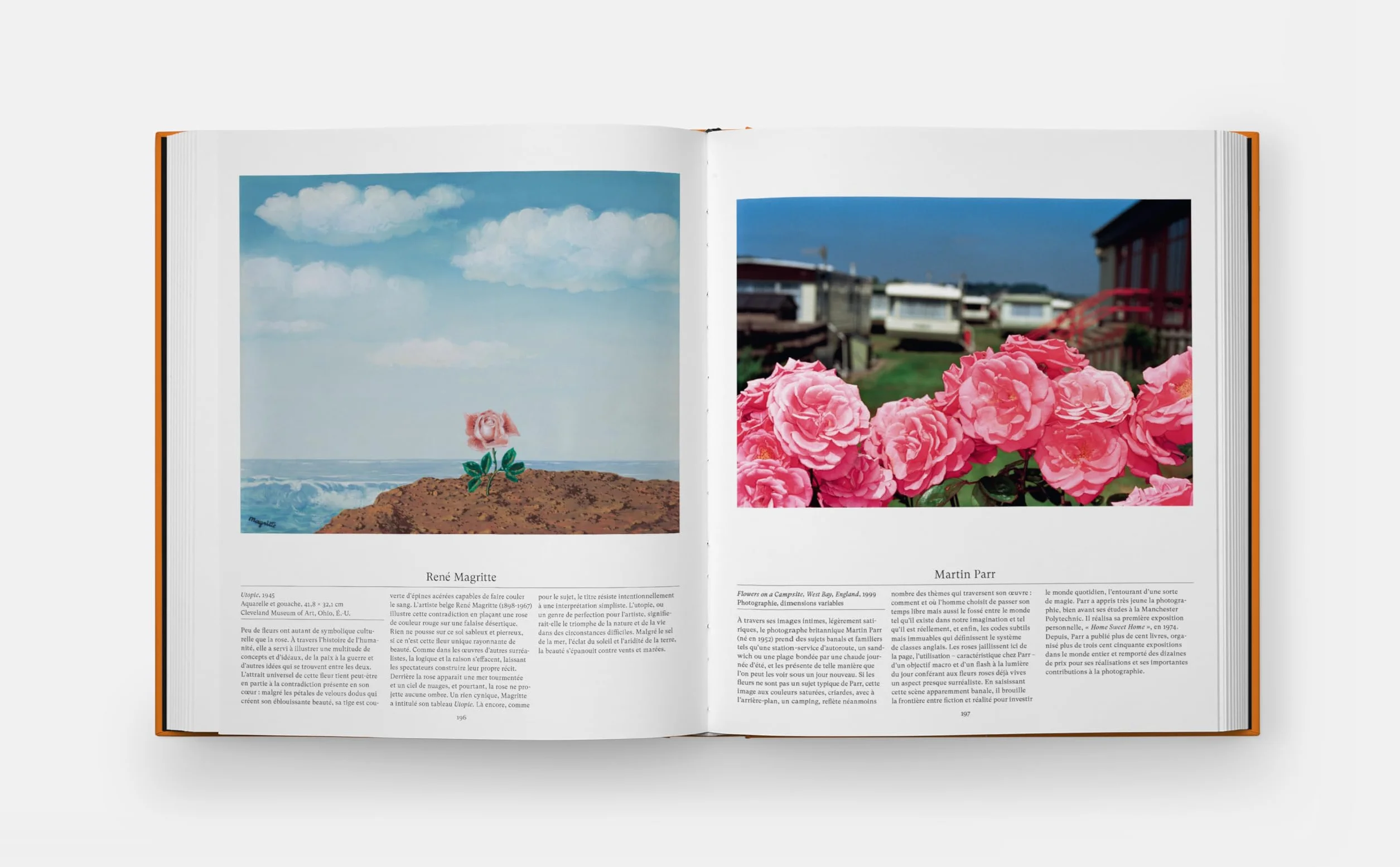 Fleurs: Explorer le monde floral