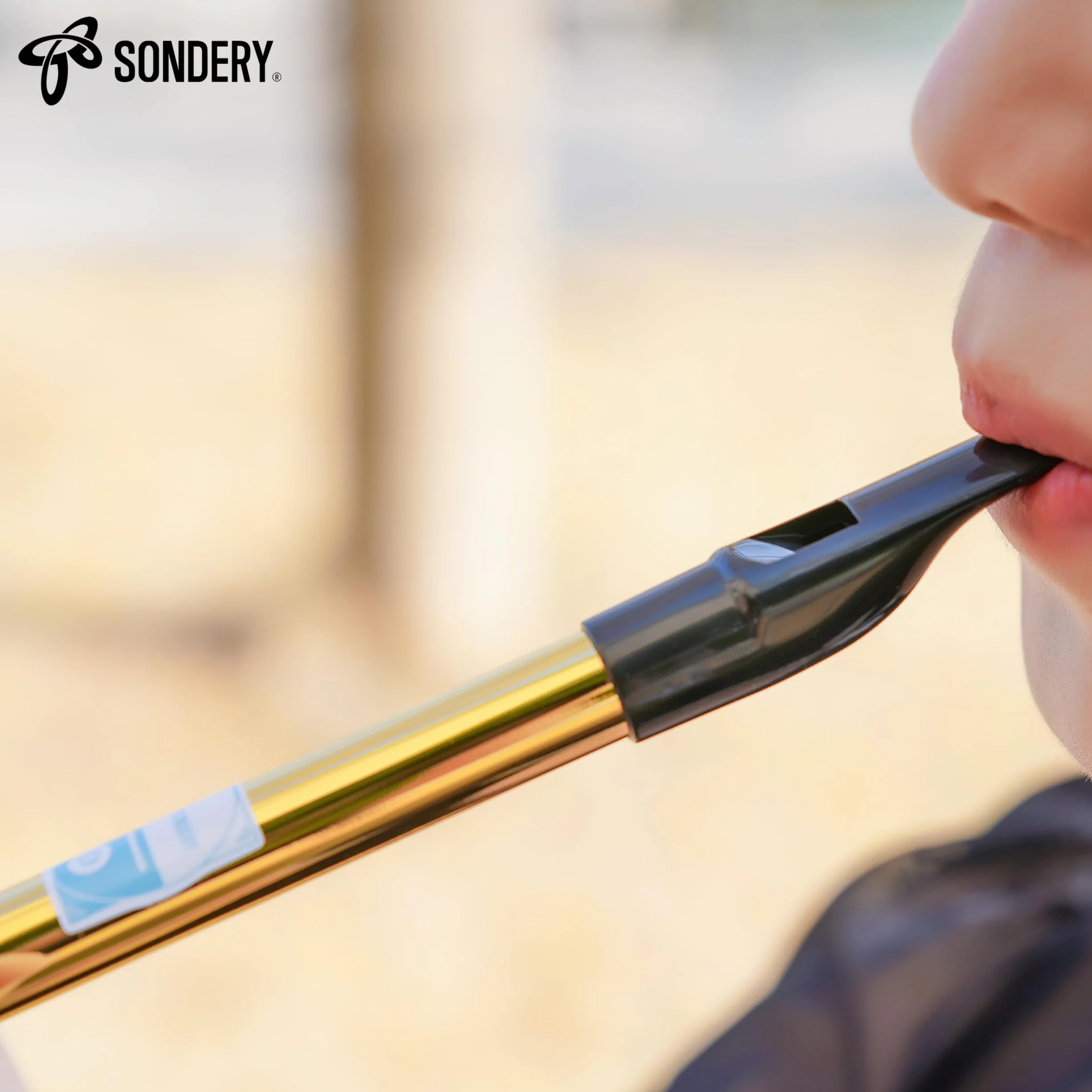 Irish Tin Whistle Key of D Brass Penny Whistle