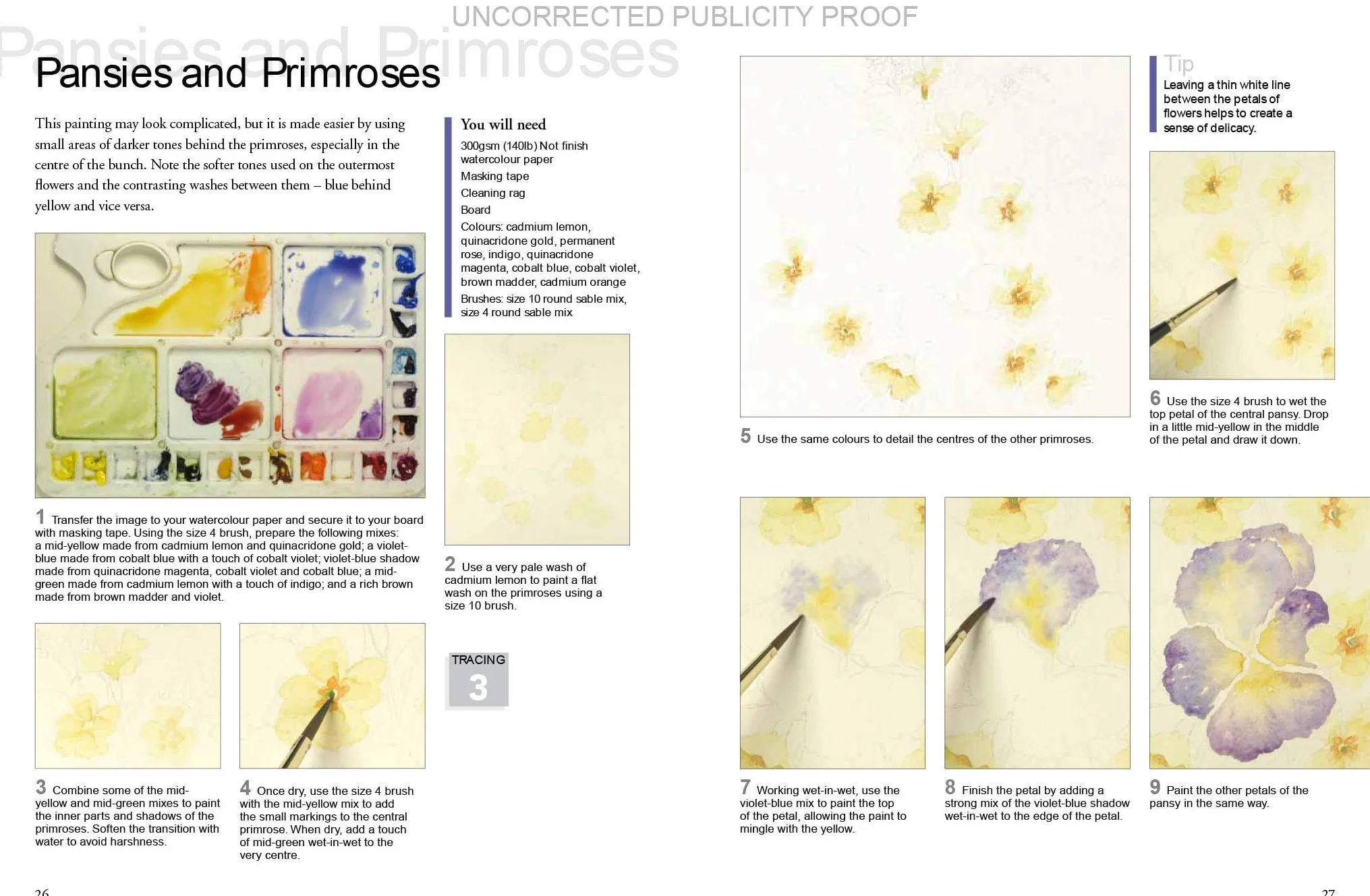 Ready to Paint Watercolour Flowers
