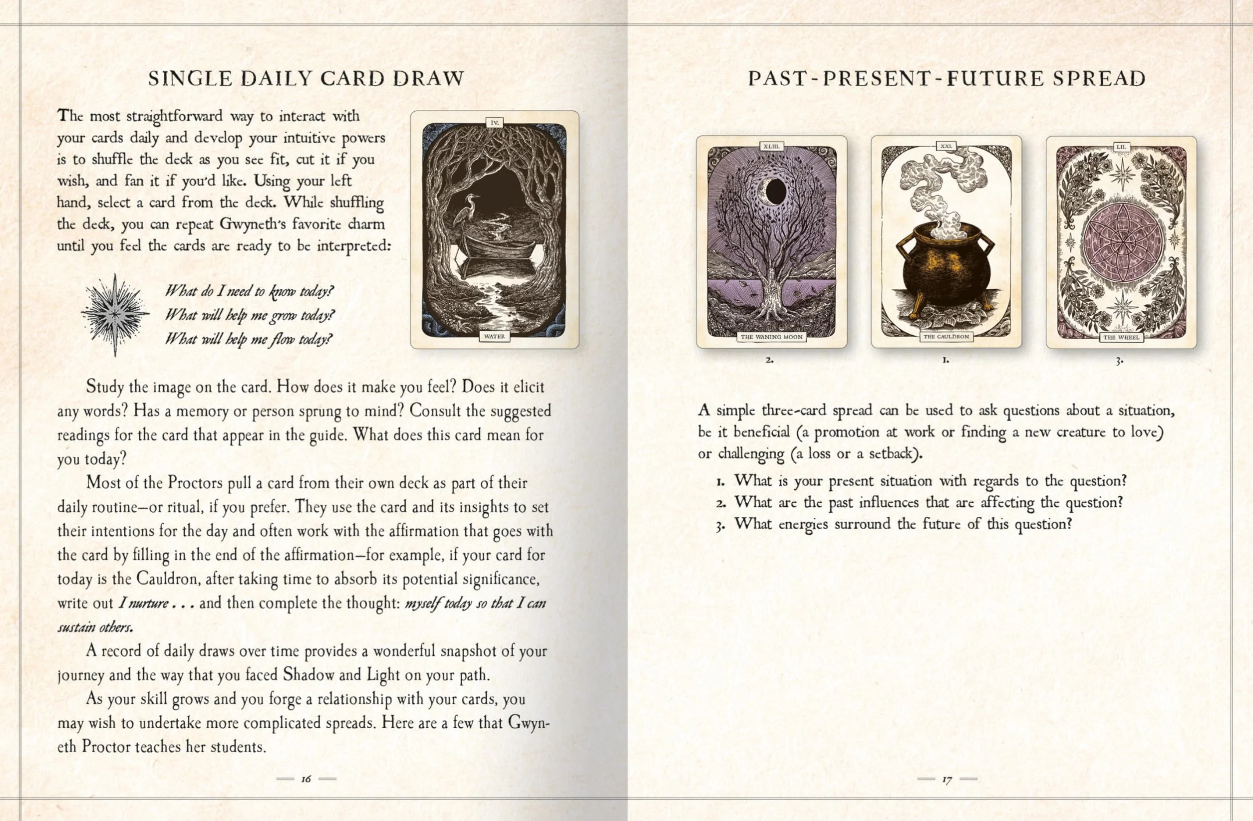 The Black Bird Oracle Deck: A 52-Card Deck and Guidebook