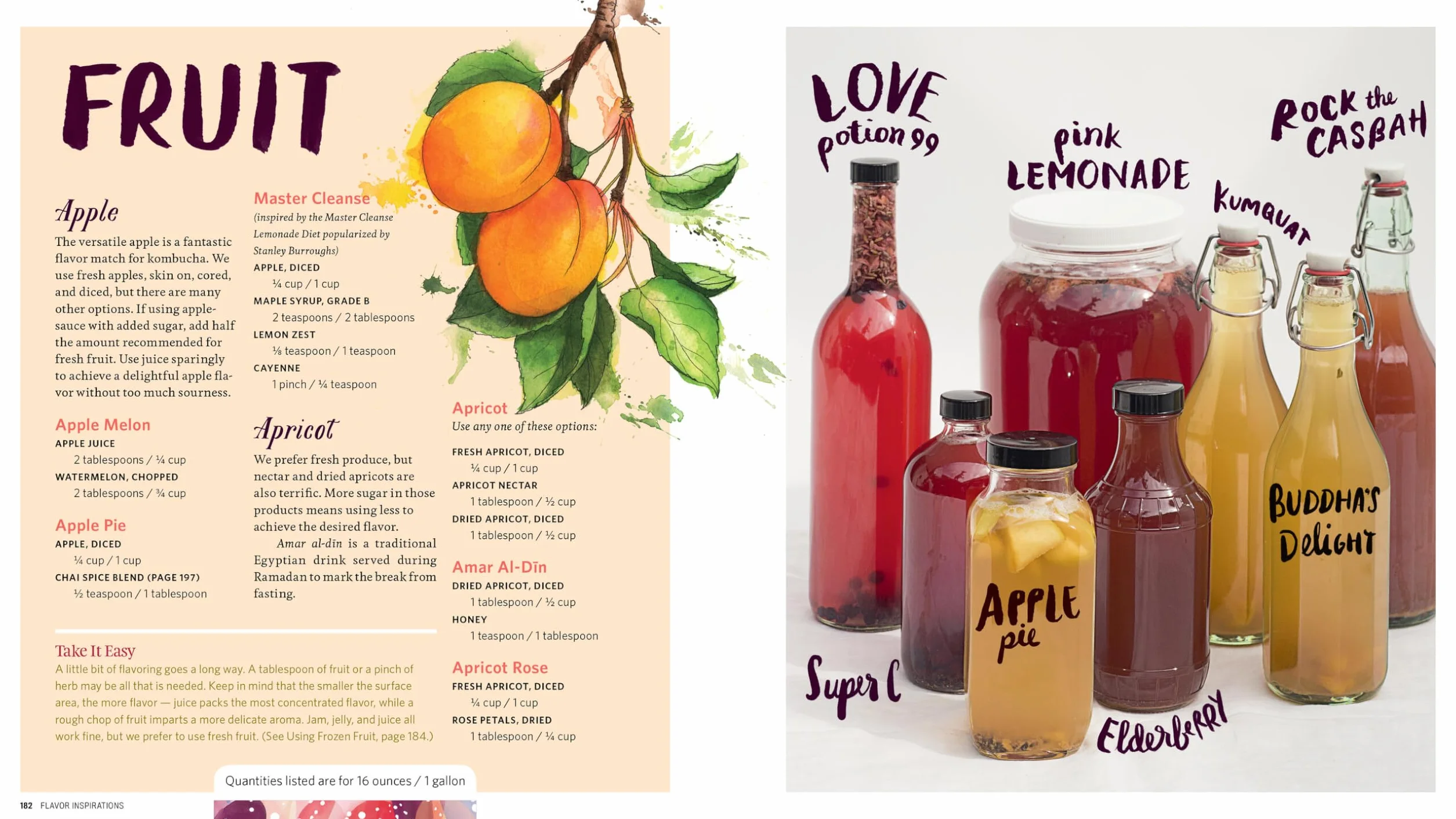 The Big Book of Kombucha: Brewing, Flavoring, and Enjoying the Health Benefits of Fermented Tea
