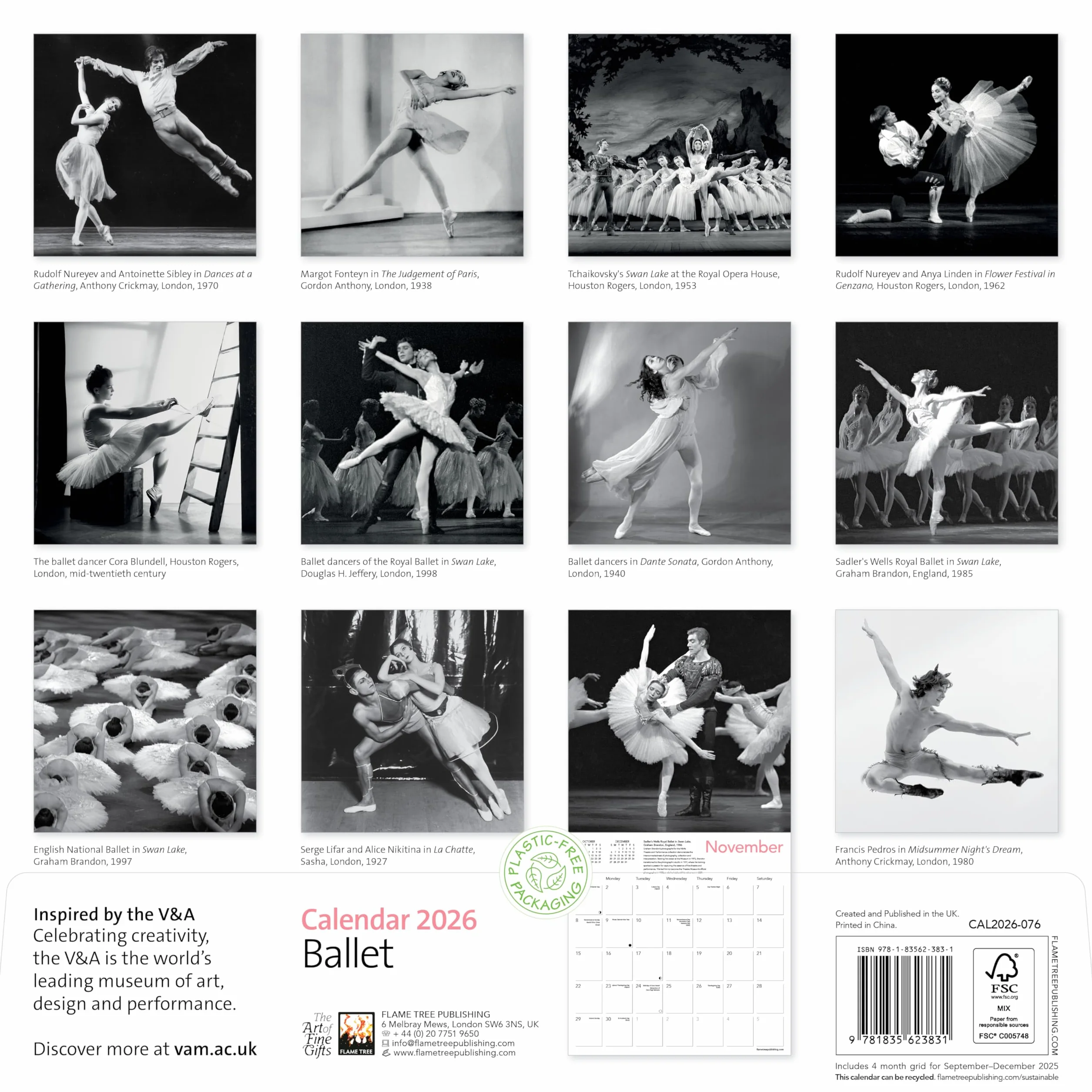 V&A: Ballet Wall Calendar 2026 (Art Calendar)
