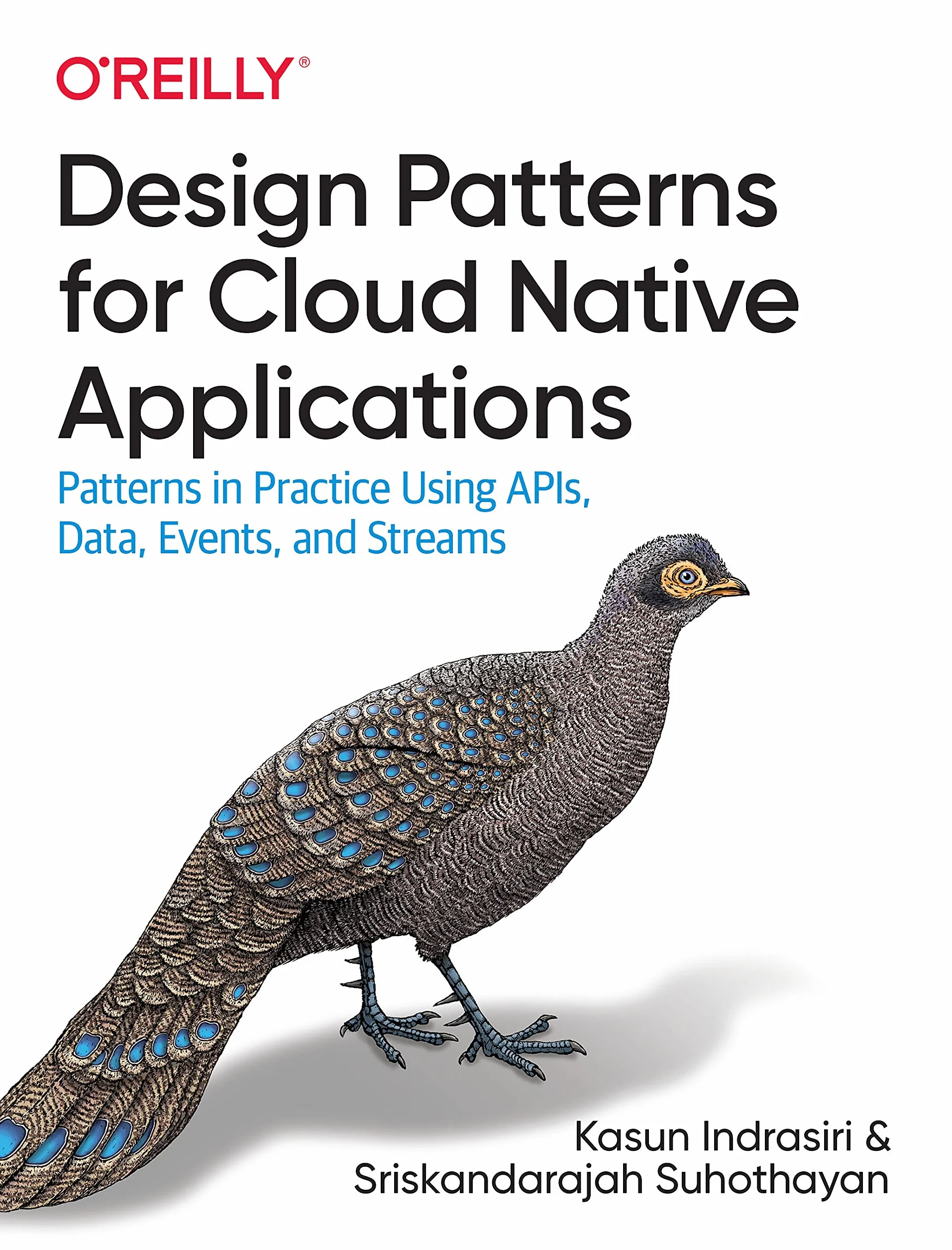 Design Patterns for Cloud Native Applications: Patterns in Practice Using Apis, Data, Events, and Streams