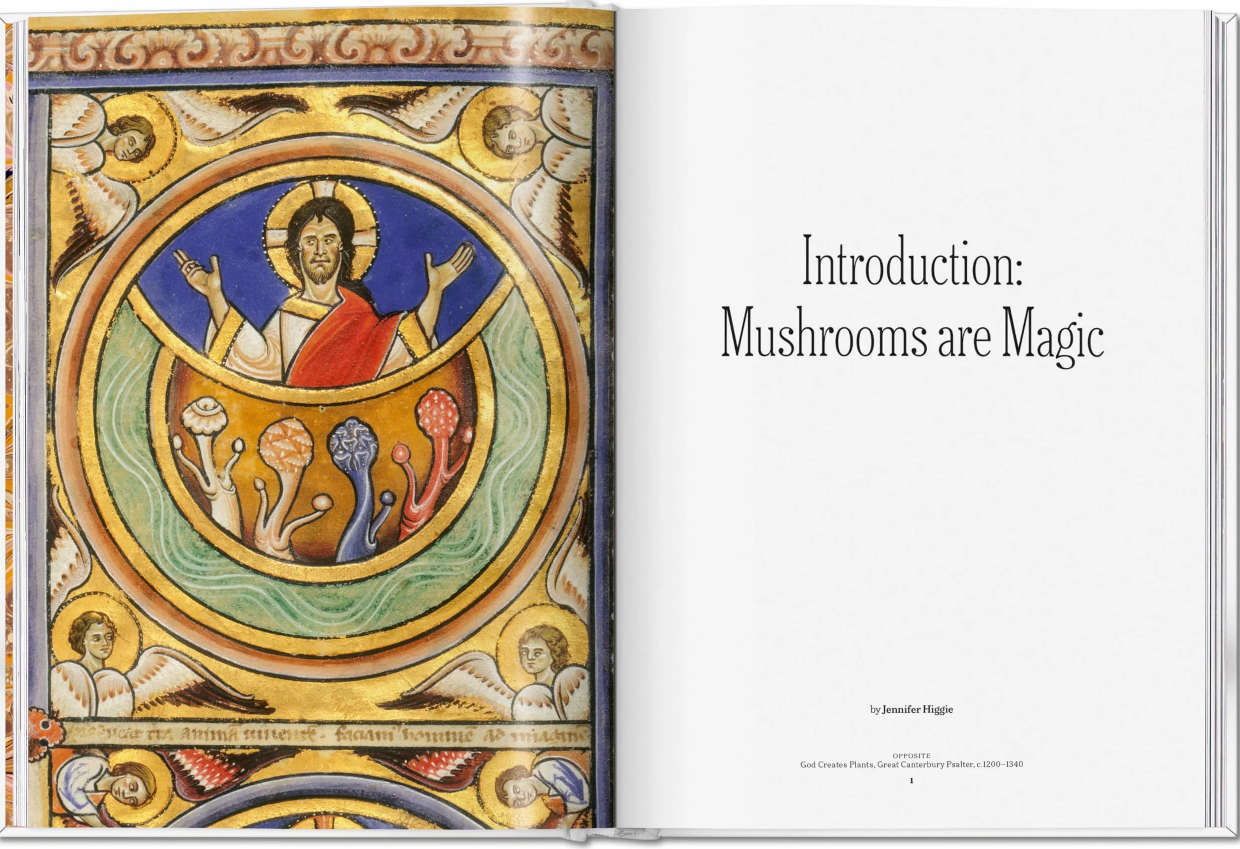 The Gourmand's Mushroom. a Collection of Stories & Recipes