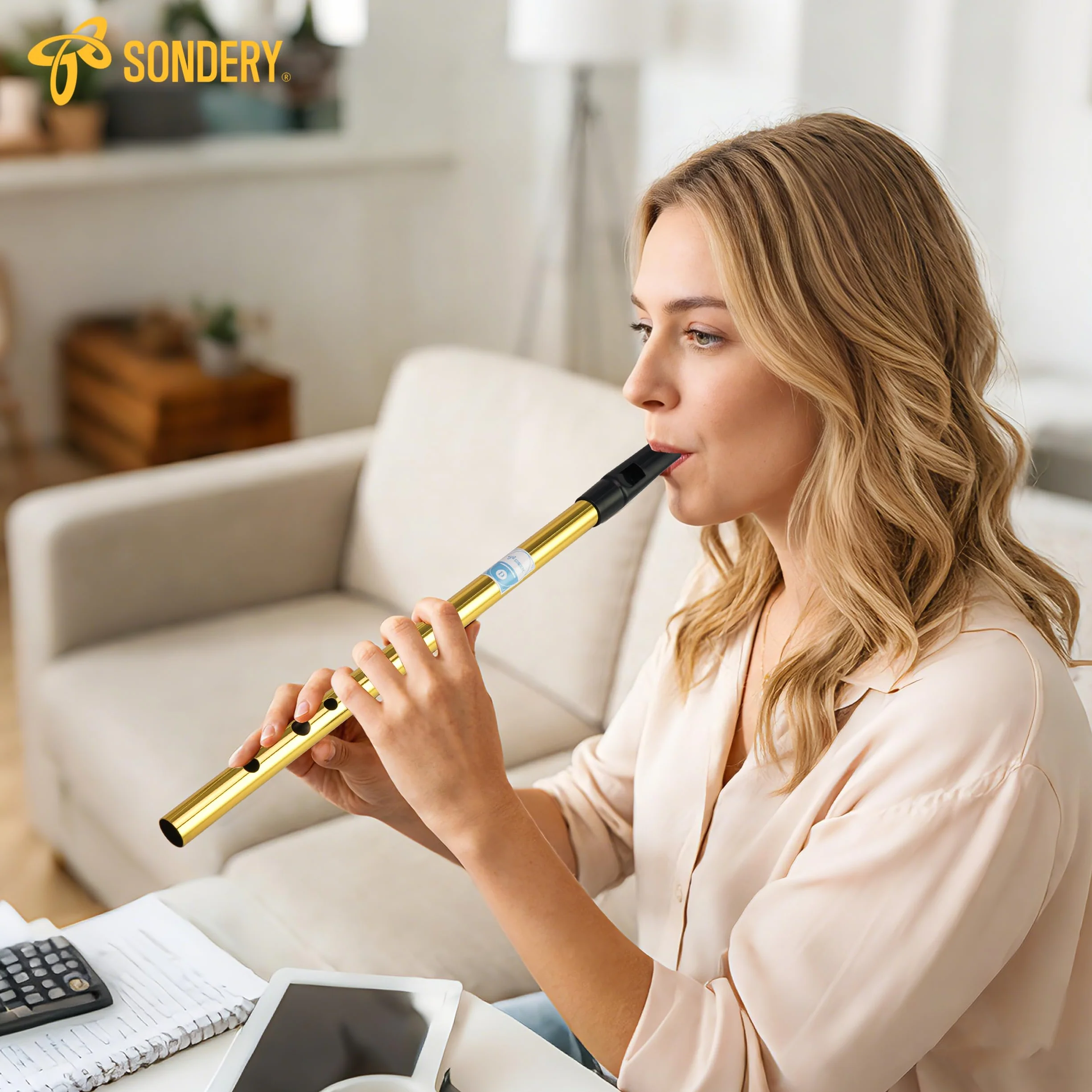 Irish Tin Whistle Key of D Brass Penny Whistle