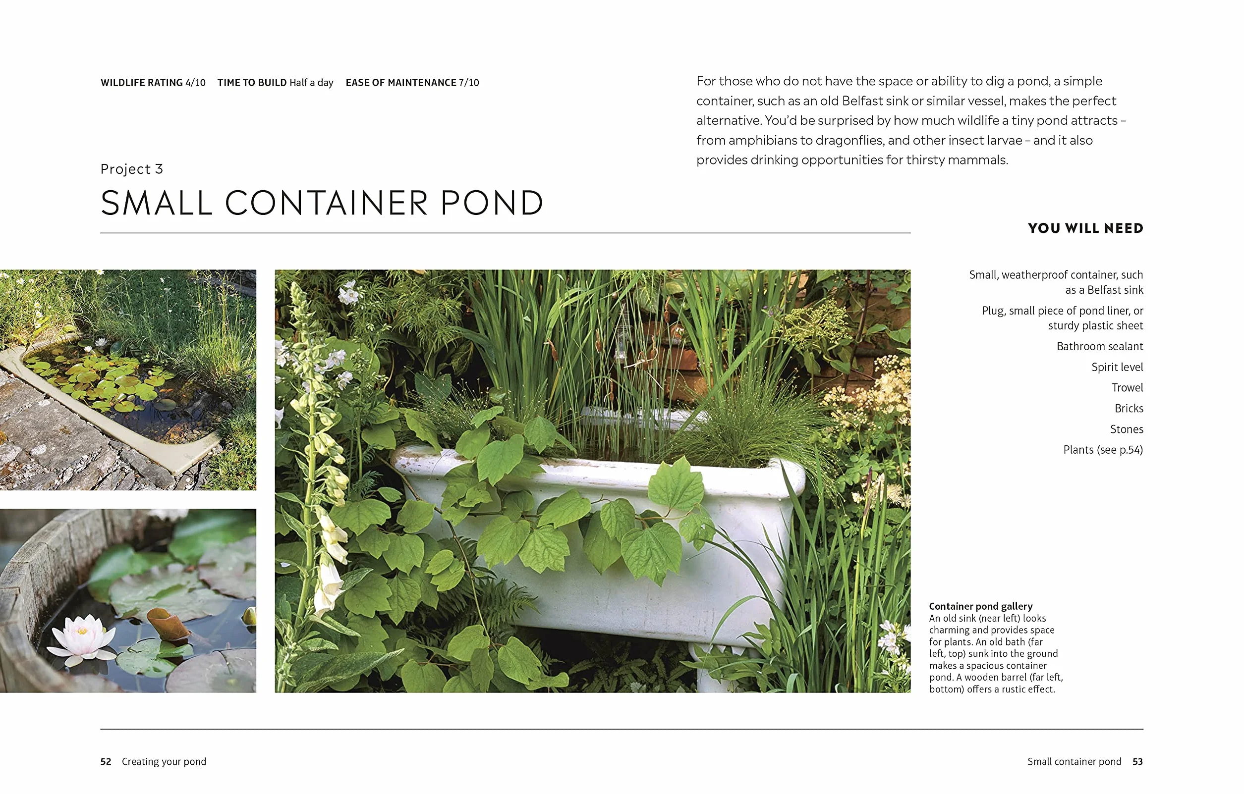 RHS How to Create a Wildlife Pond: Plan, Dig, and Enjoy a Natural Pond in Your Own Back Garden