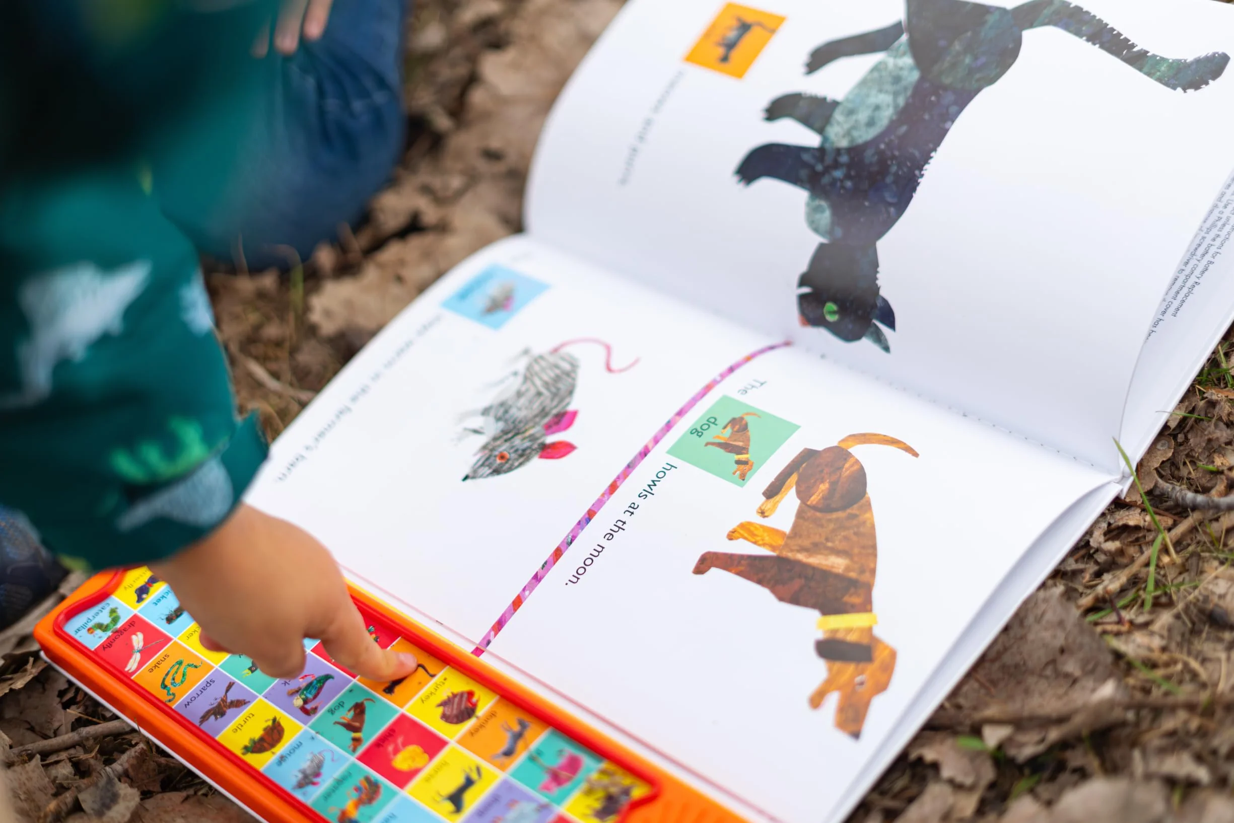 World of Eric Carle: Around the Farm