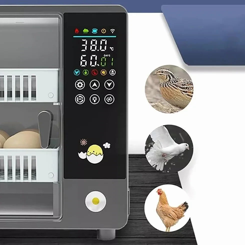 NEWFUN Inkubator w pełni automatyczny, 24 jaja, inteligentna kontrola temperatury, ekran dotykowy, z automatycznym systemem rotacji i kontrolą temperatury dla inkubatora, kury, przepiórki