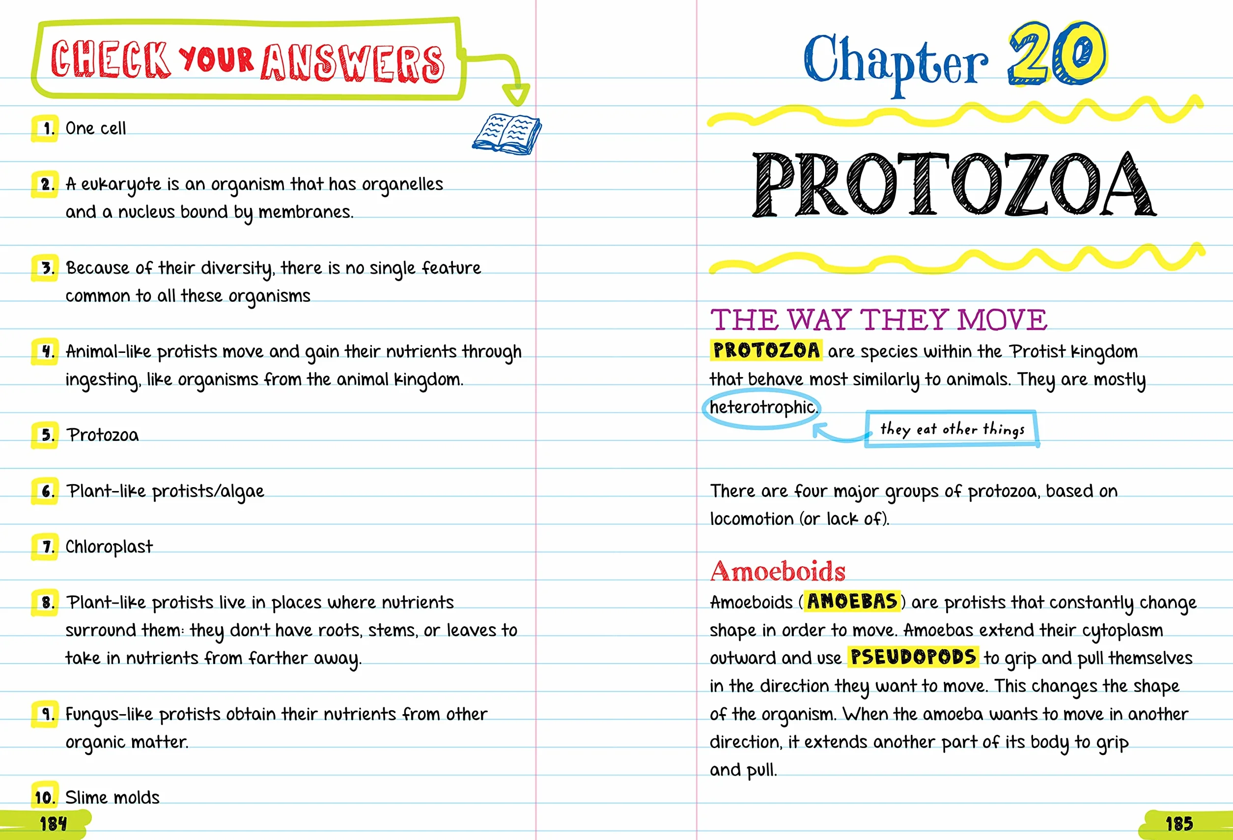 Everything You Need to Ace Biology in One Big Fat Notebook