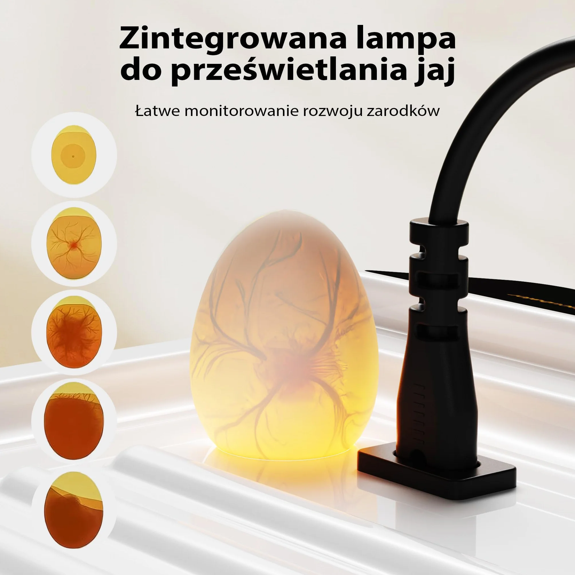 W pełni automatyczny inkubator powierzchniowy Fudajo na 24 jaja, inkubator 80 W z systemem obracania, inkubator z kontrolą temperatury i regulacją wilgotności, inkubator do jaj wylęgowych