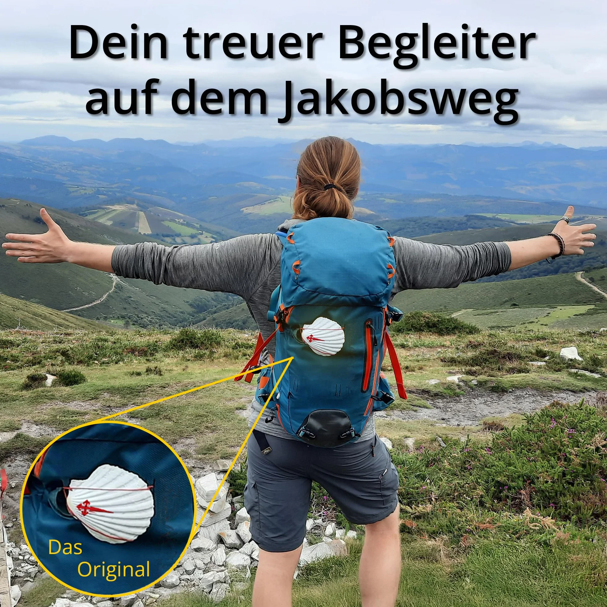 Buen Camino Przegrzebek muszla pielgrzymkowa na ścieżkę św. św. Jakuba, 11 x 10 cm, oryginalny produkt z Galicji, produkt naturalny