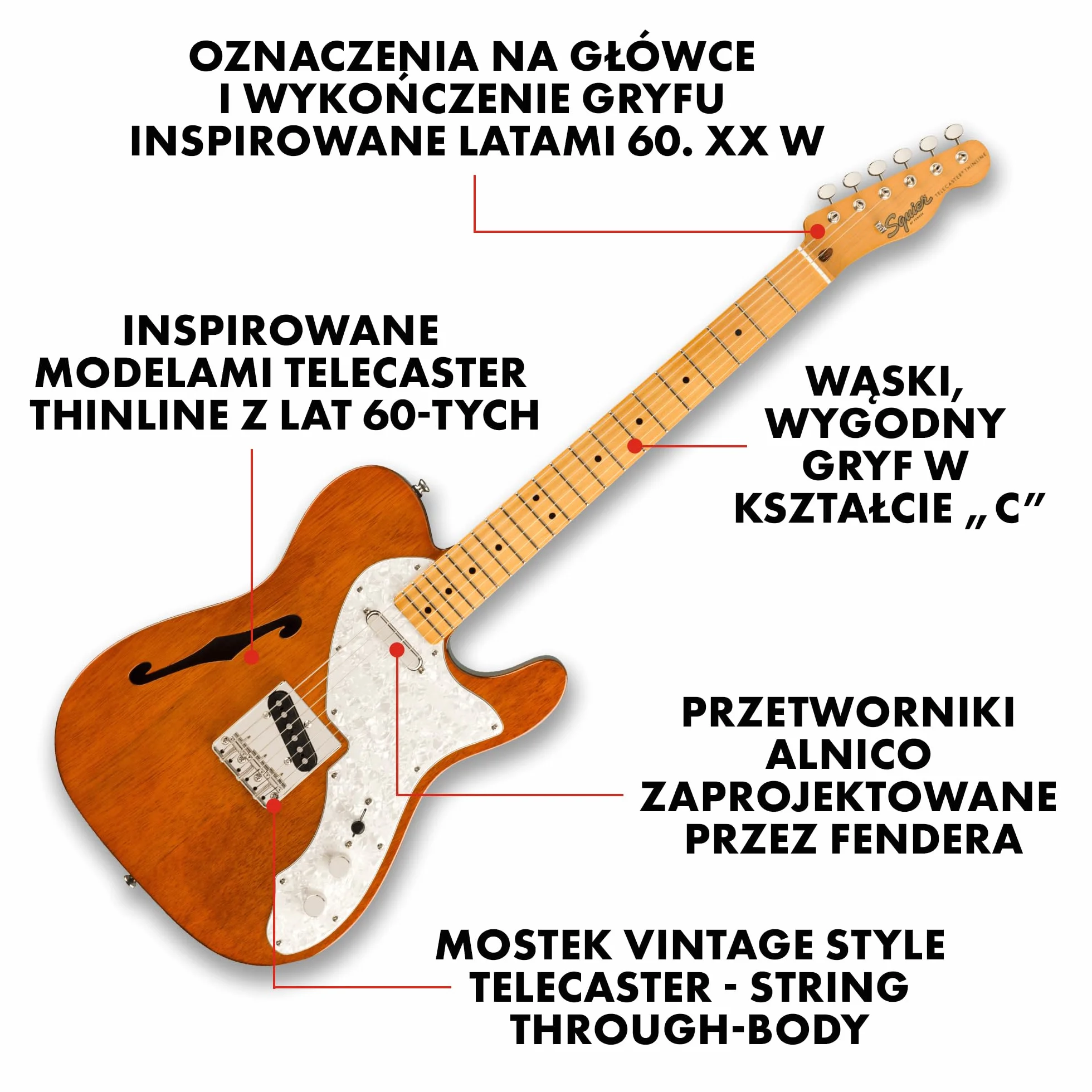 Fender Squier Classic Vibe '60' Tele Thinline Maple, naturalny