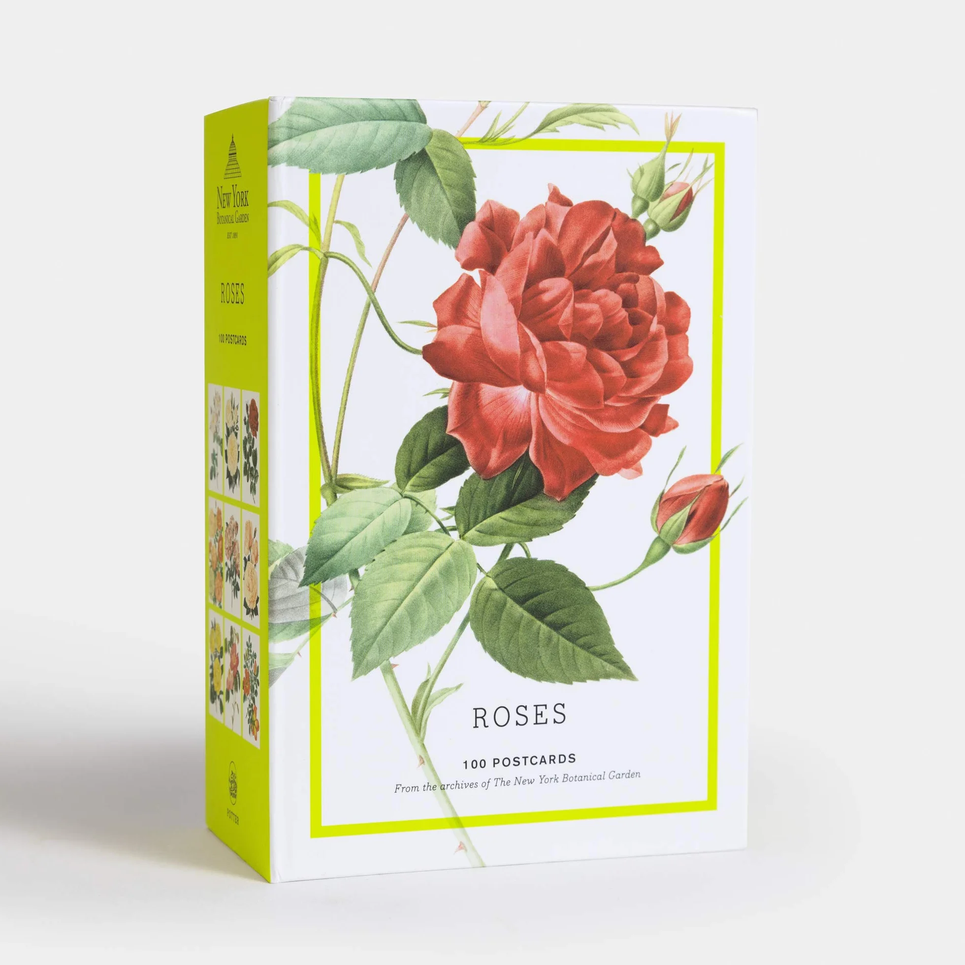 Roses: 100 Postcards from the Archives of The New York Botanical Garden