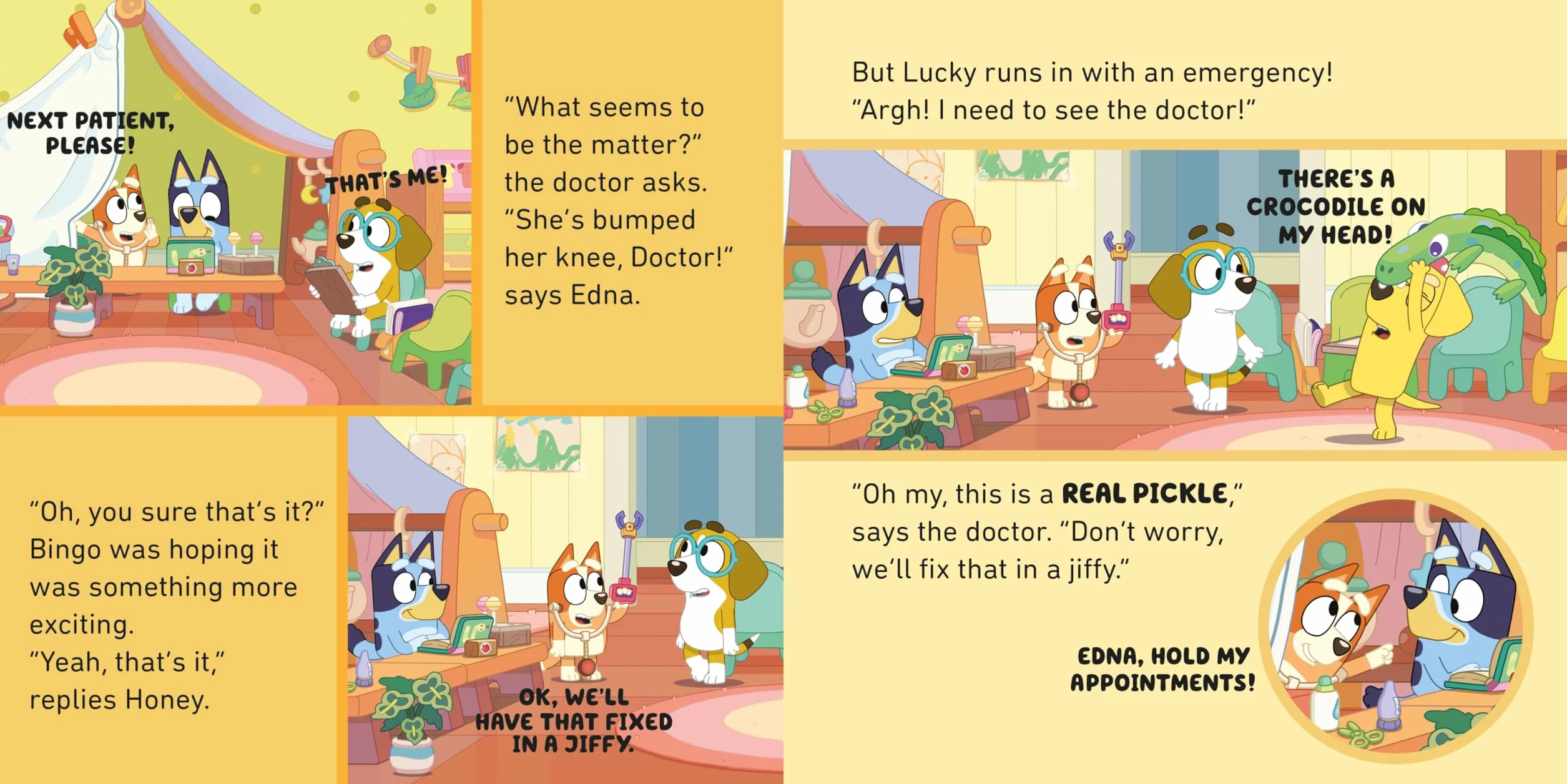 The Bluey: The Doctor: A hilarious board book for young readers