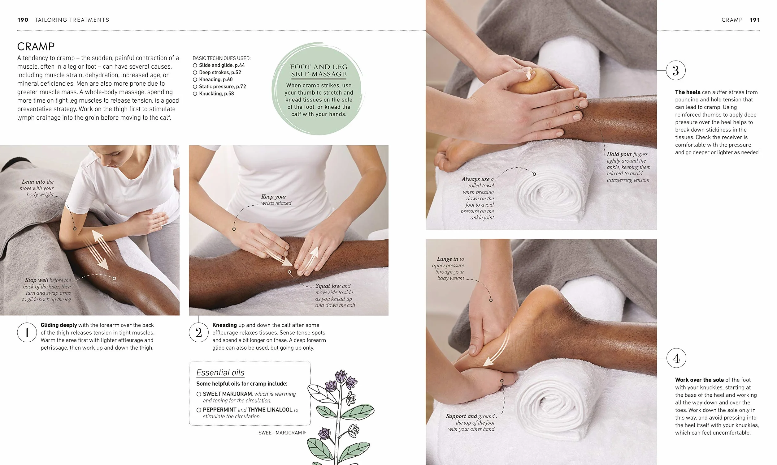 Neal's Yard Remedies Complete Massage: All the Techniques, Disciplines, and Skills you need to Massage for Wellness